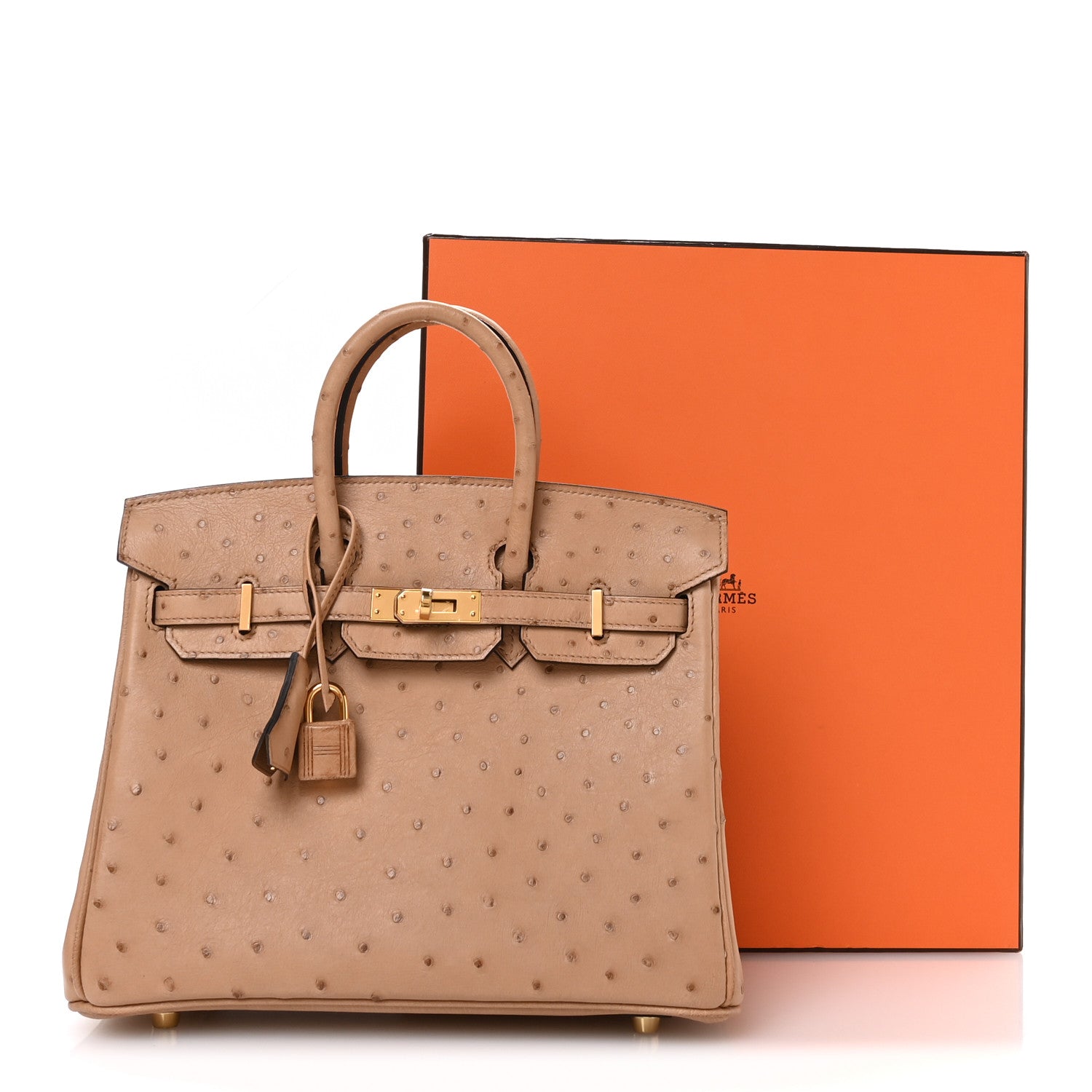 Ostrich Birkin 25 Chai
