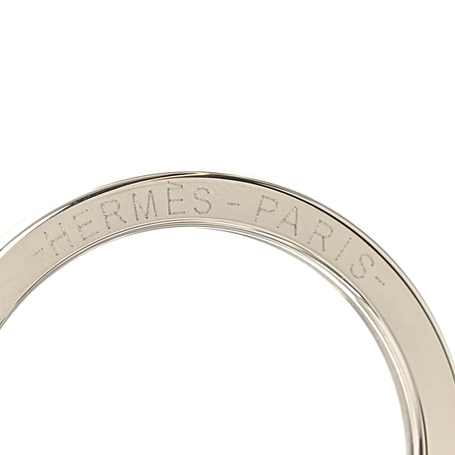 Stainless Steel Fer a Cheval Key Ring