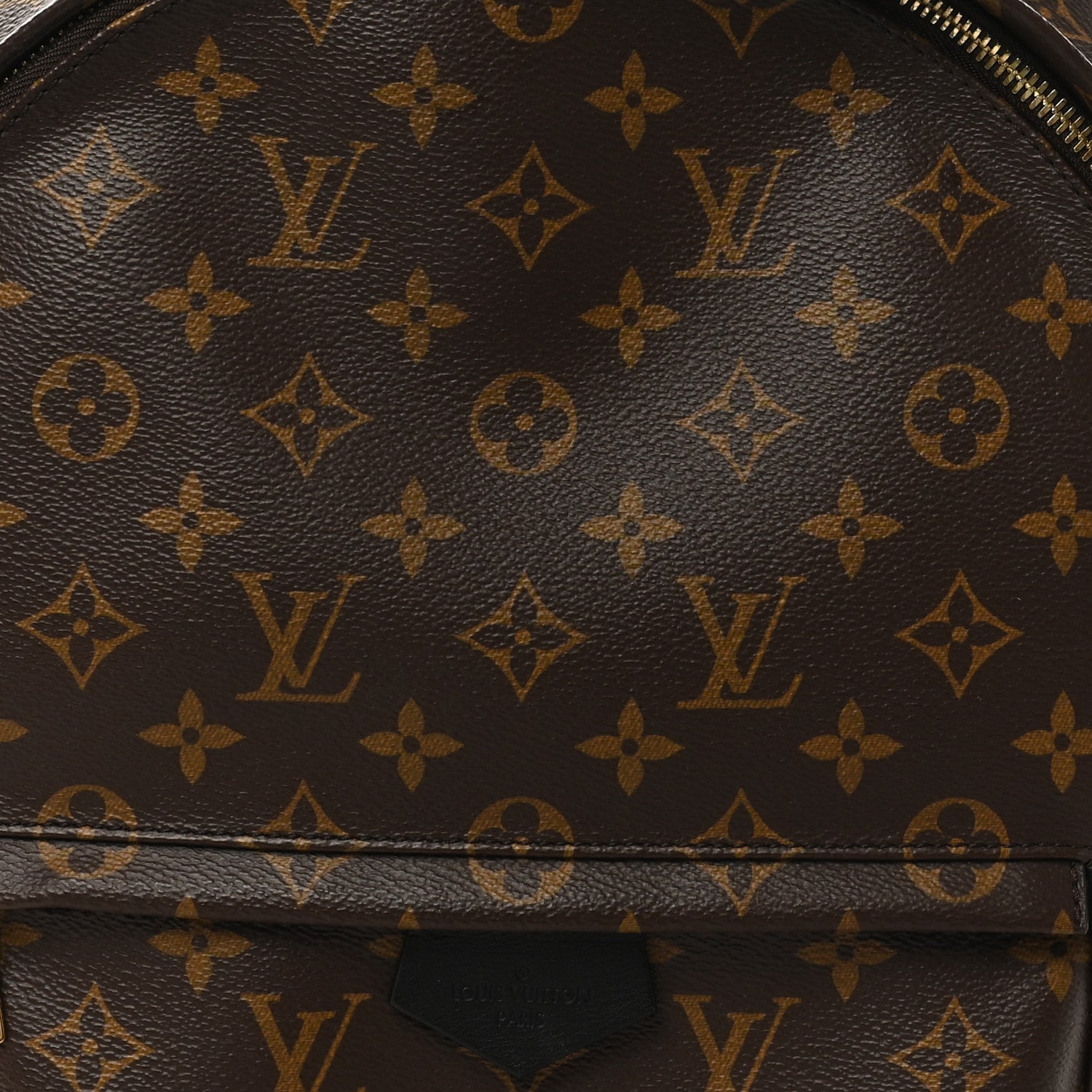 Monogram Palm Springs Backpack MM