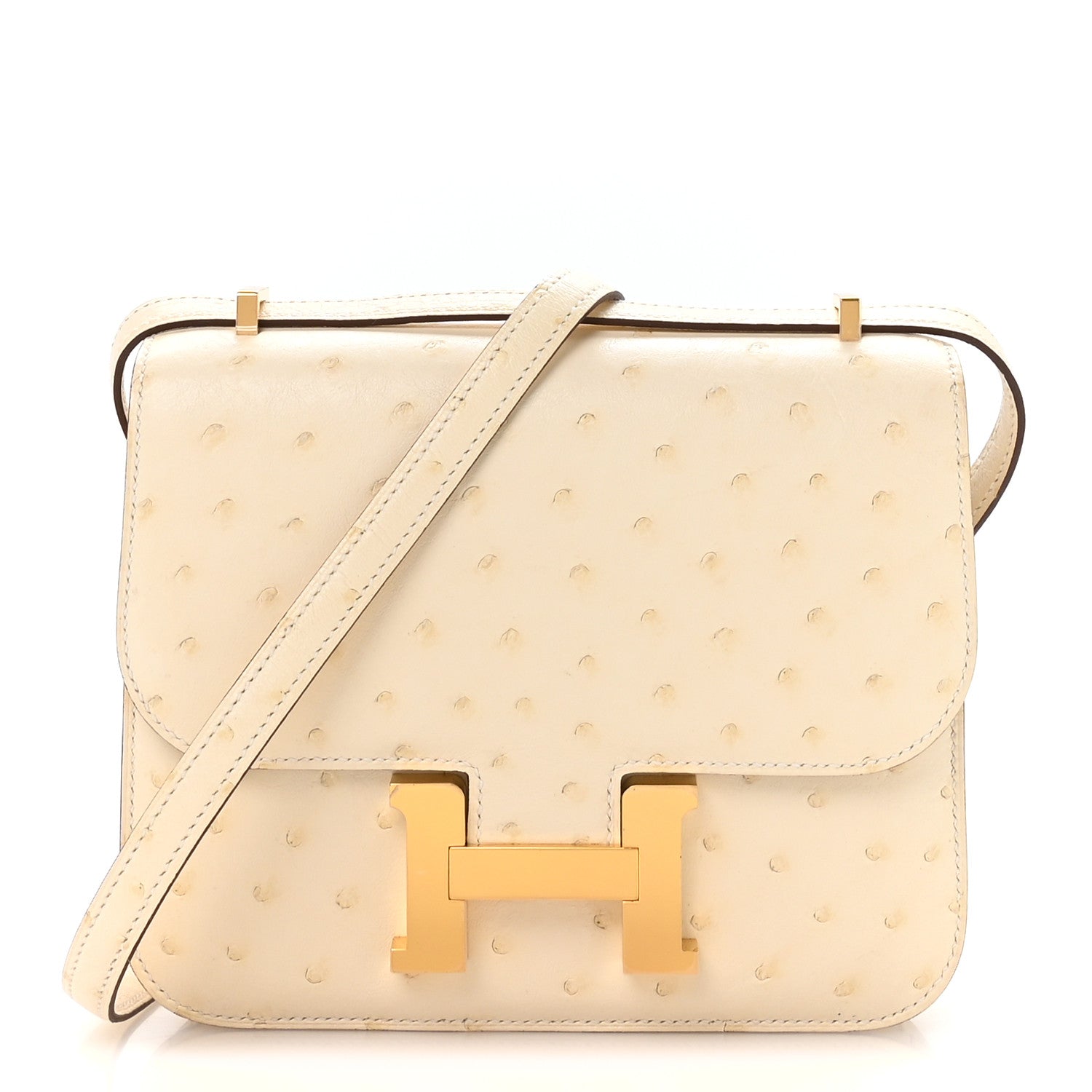 Ostrich Constance 18 Nata