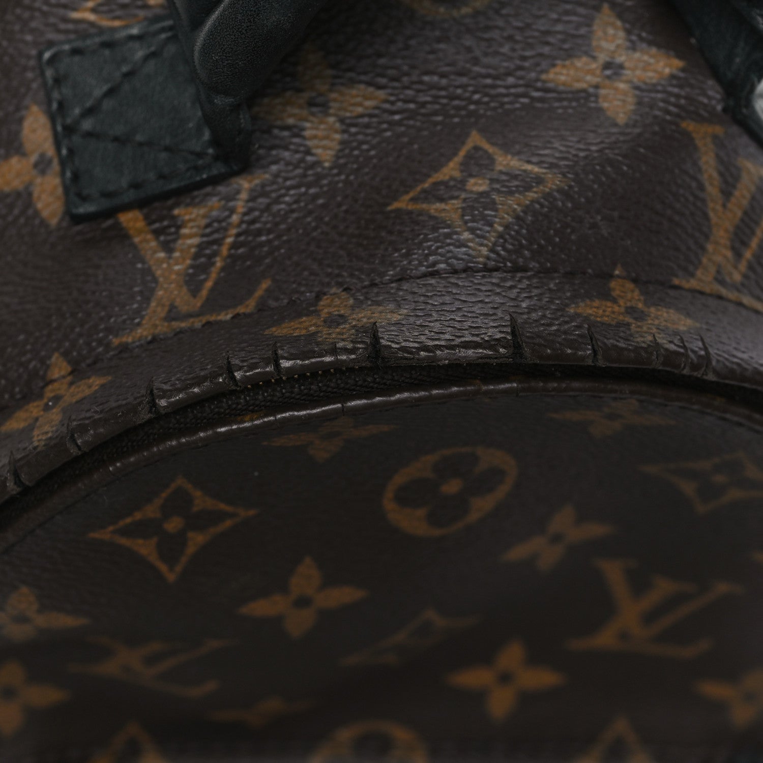 Monogram Palm Springs Backpack Mini