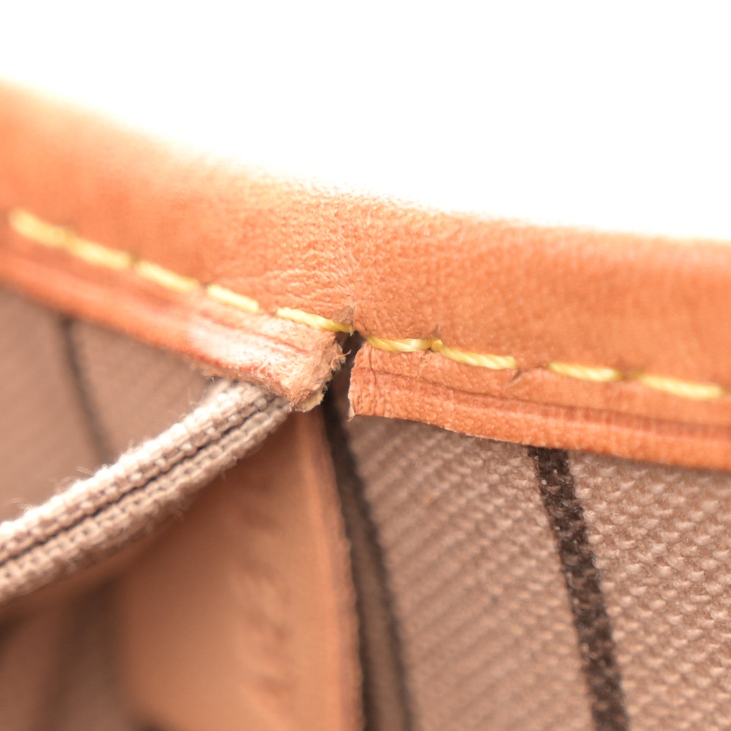 Monogram Neo Neverfull PM