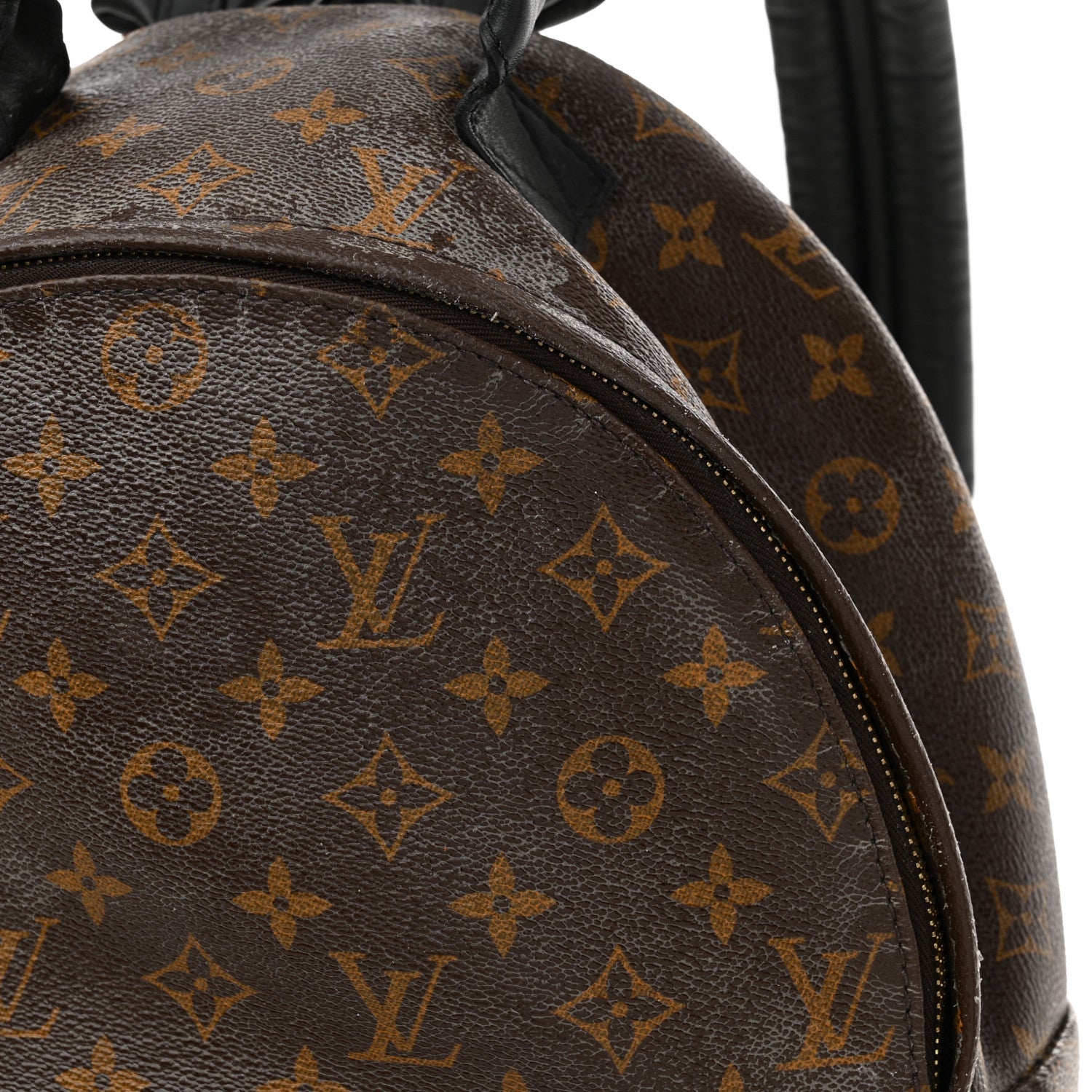 Monogram Palm Springs Backpack MM