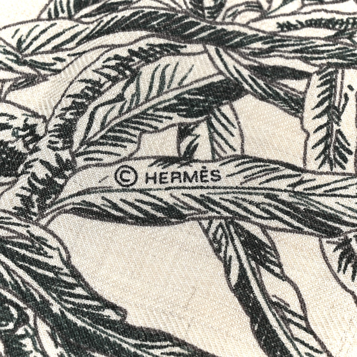 Cashmere Silk All 'Orto Botanico Di Palermo Shawl 140 Vert Loden Naturel Encre