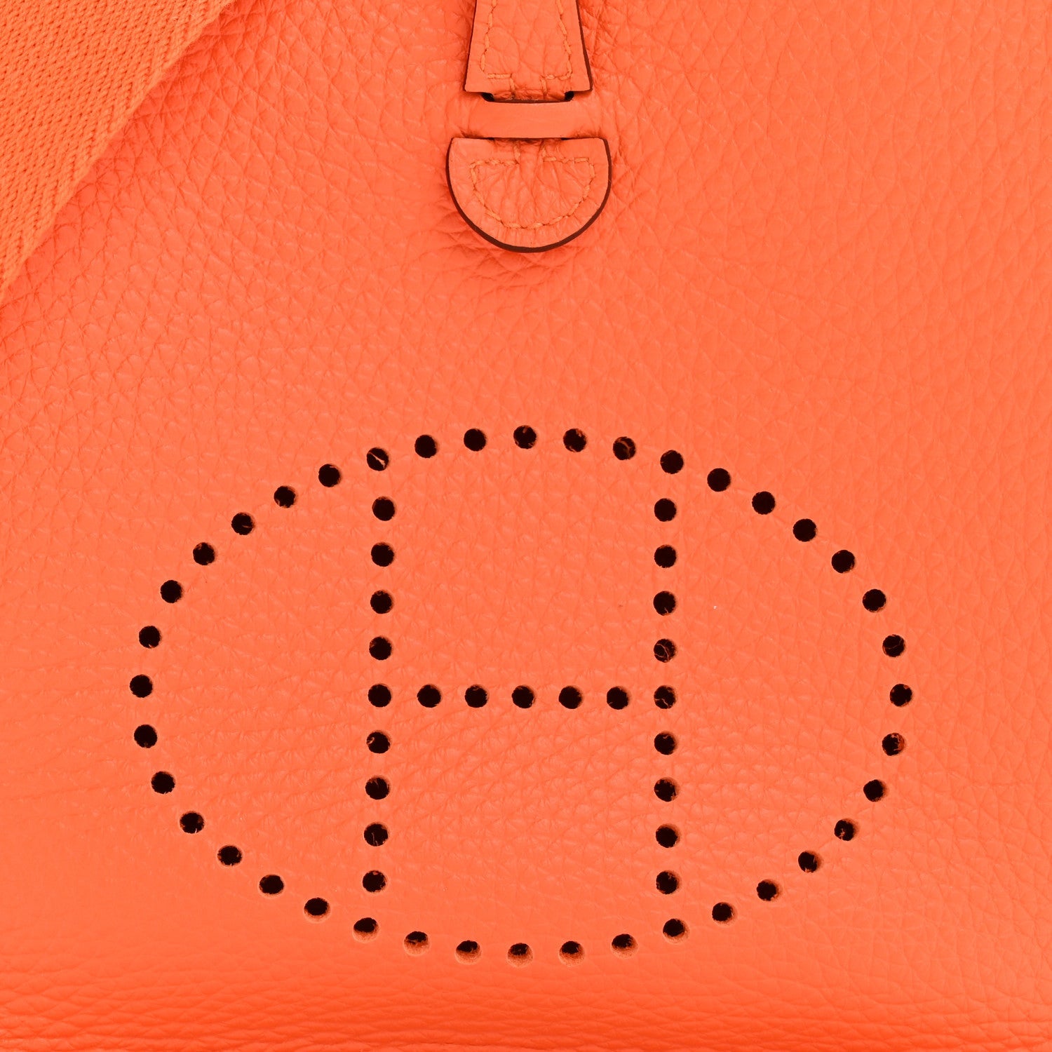 Taurillon Clemence Evelyne TPM Orange Minium