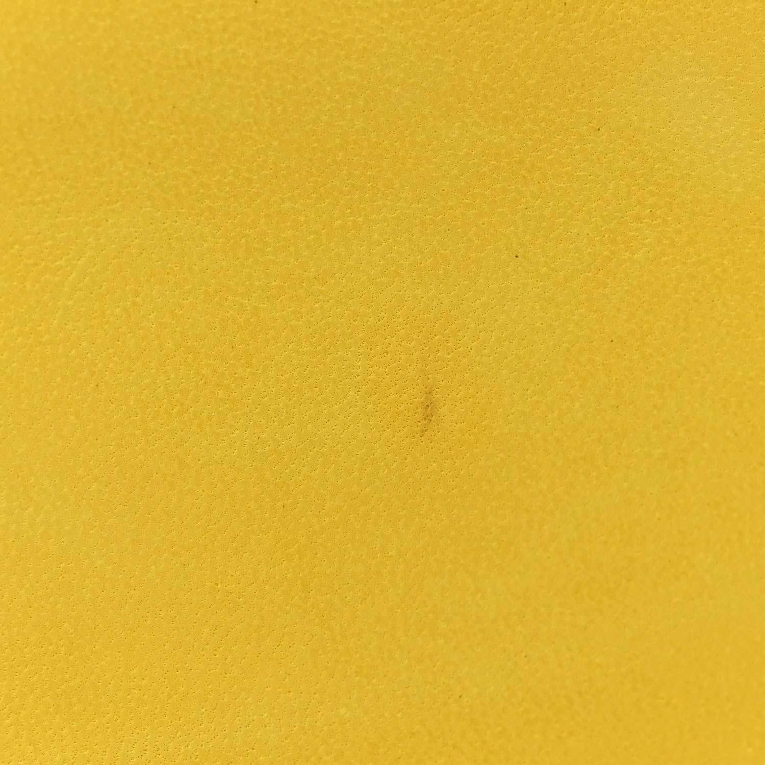 Alligator Medium Double Flap Yellow