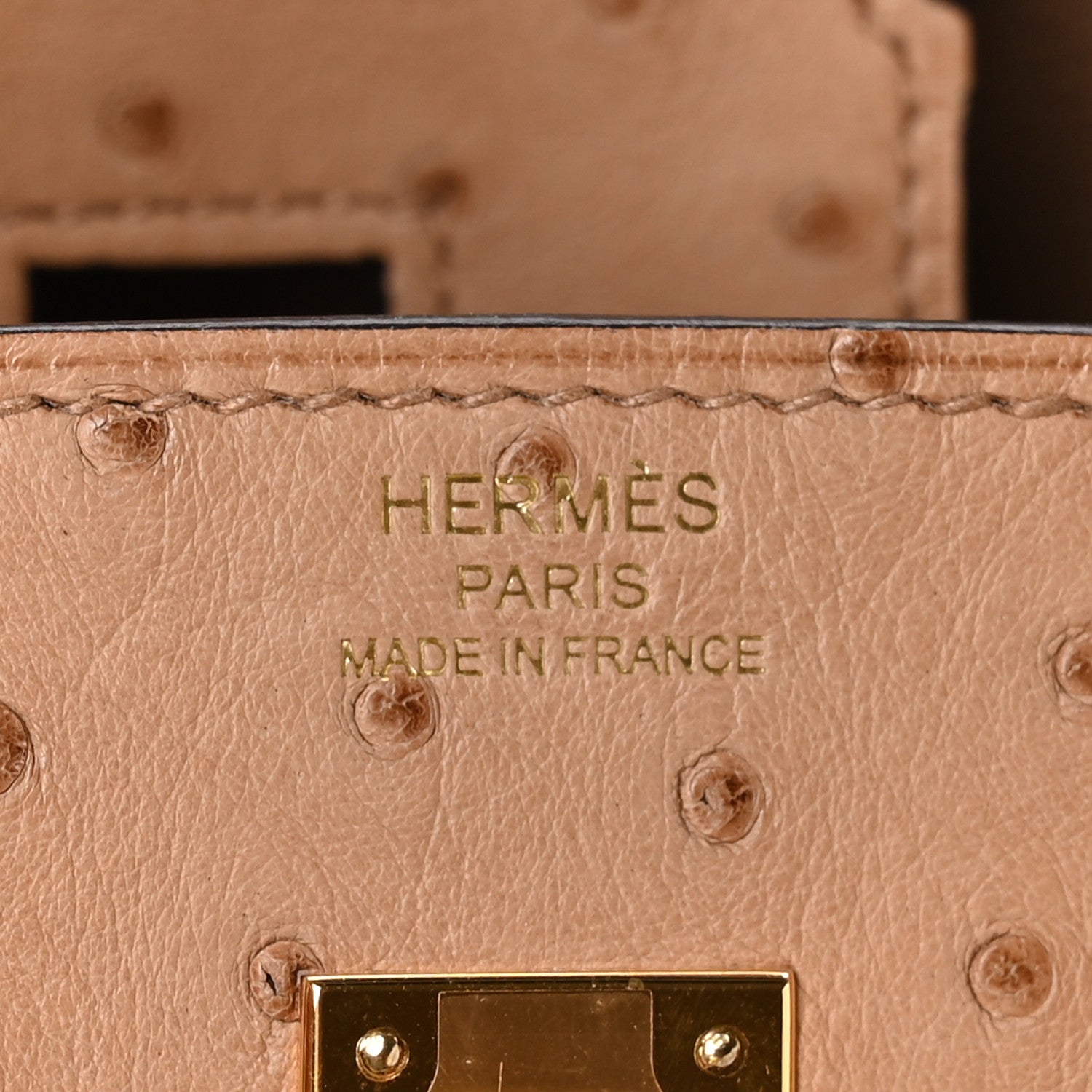 Ostrich Birkin 25 Chai