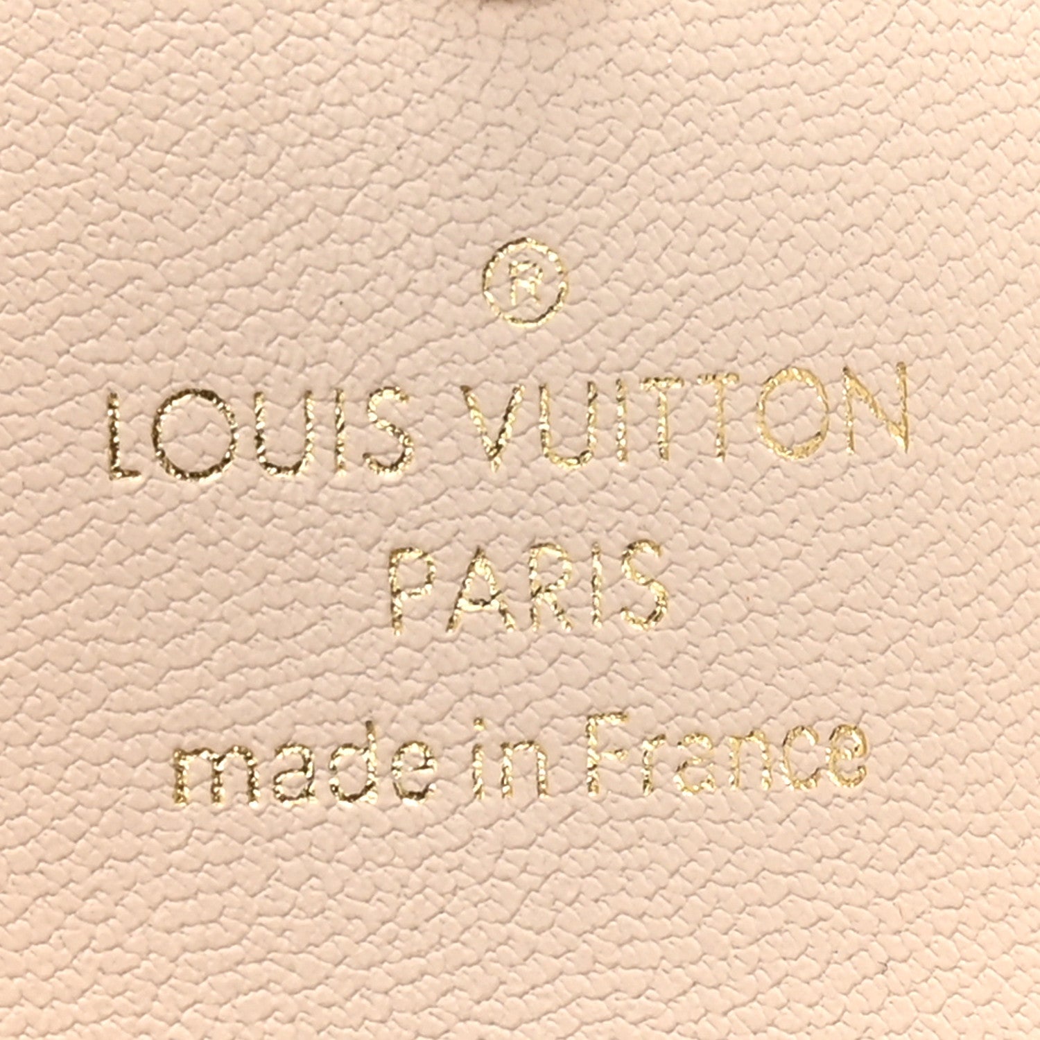 Monogram By The Pool Small Kirigami Pochette Insert Brume