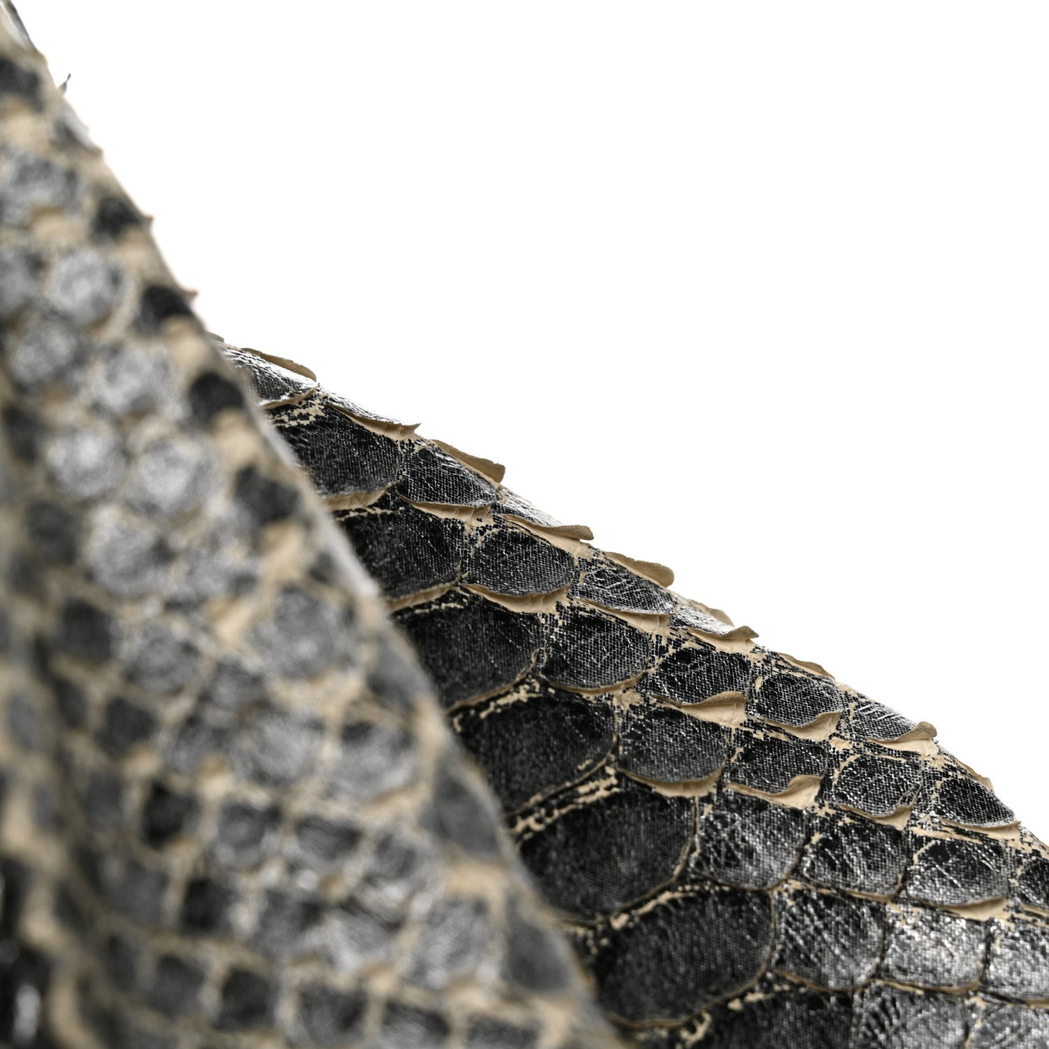 Snakeskin Medium Hysteria Top Handle Bag Black White