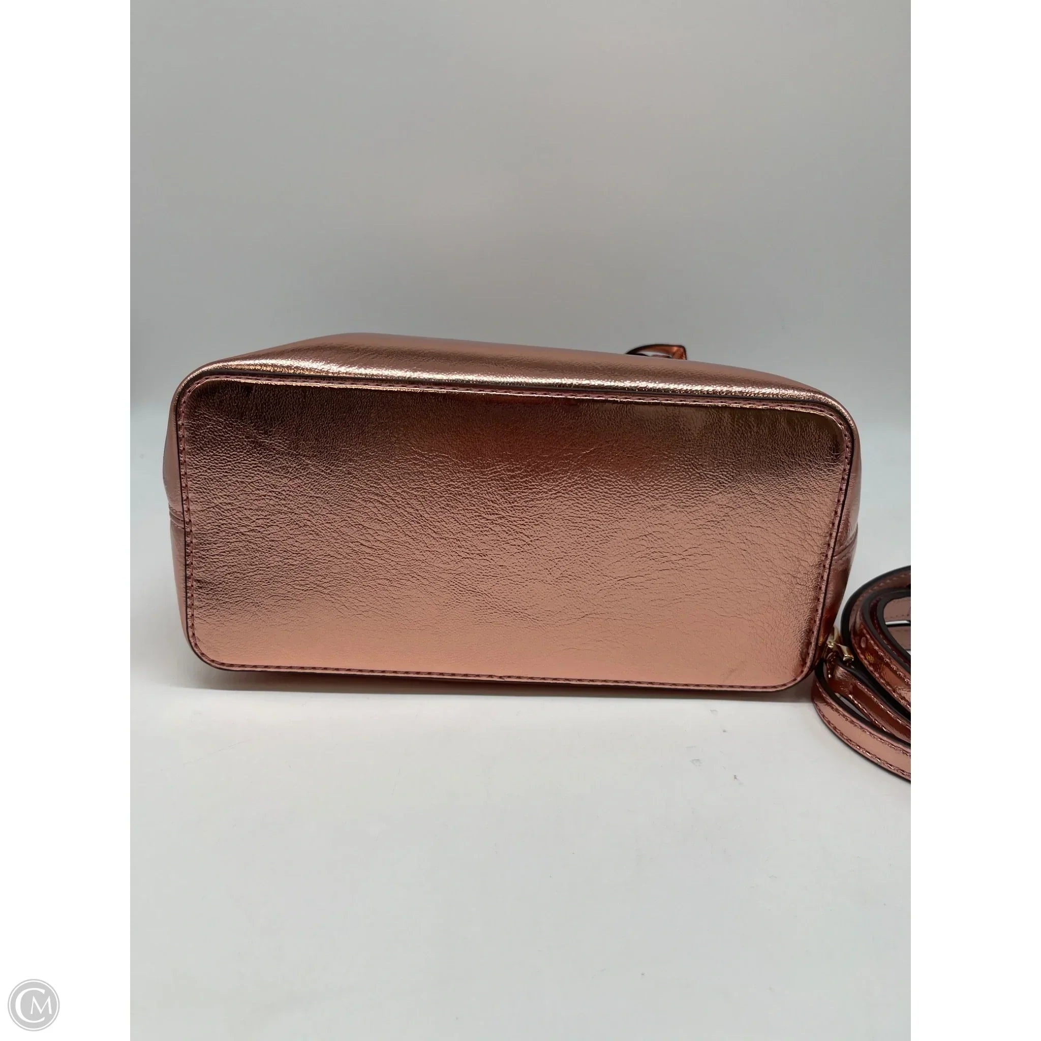 Crossbody Designer By Michael Kors, Size: Small