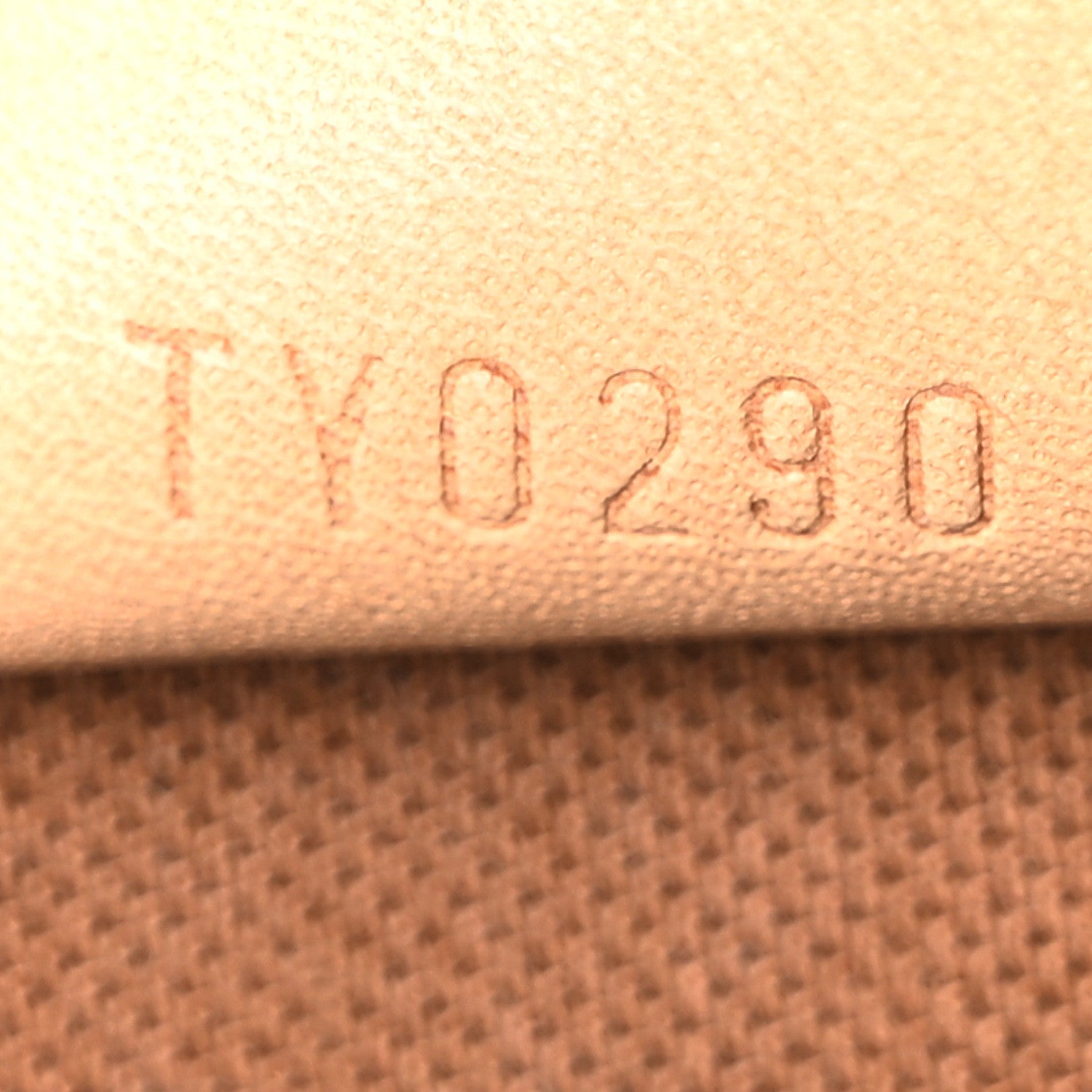 Monogram Nano Speedy