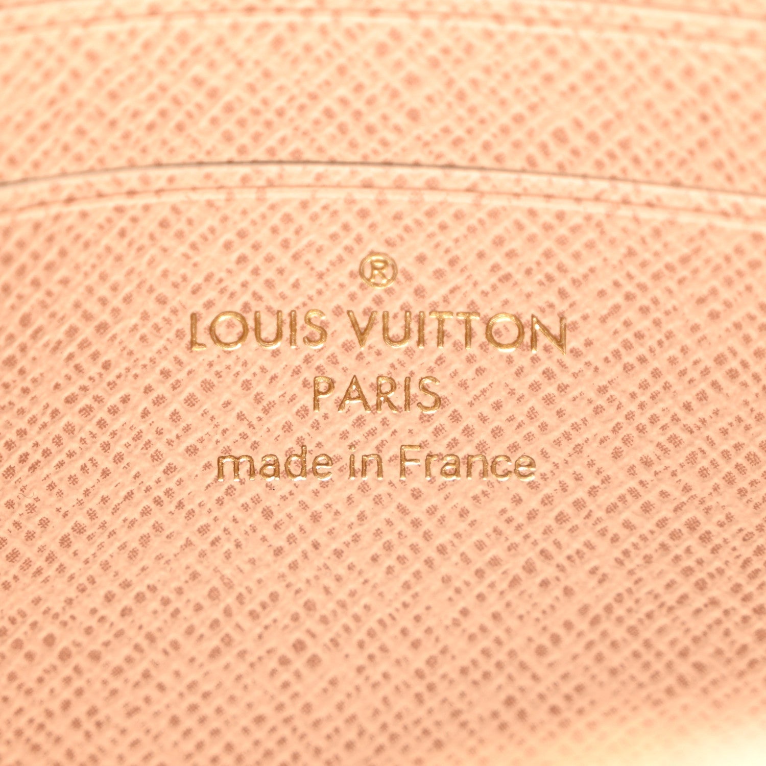 Monogram Dune Ivy Wallet On Chain