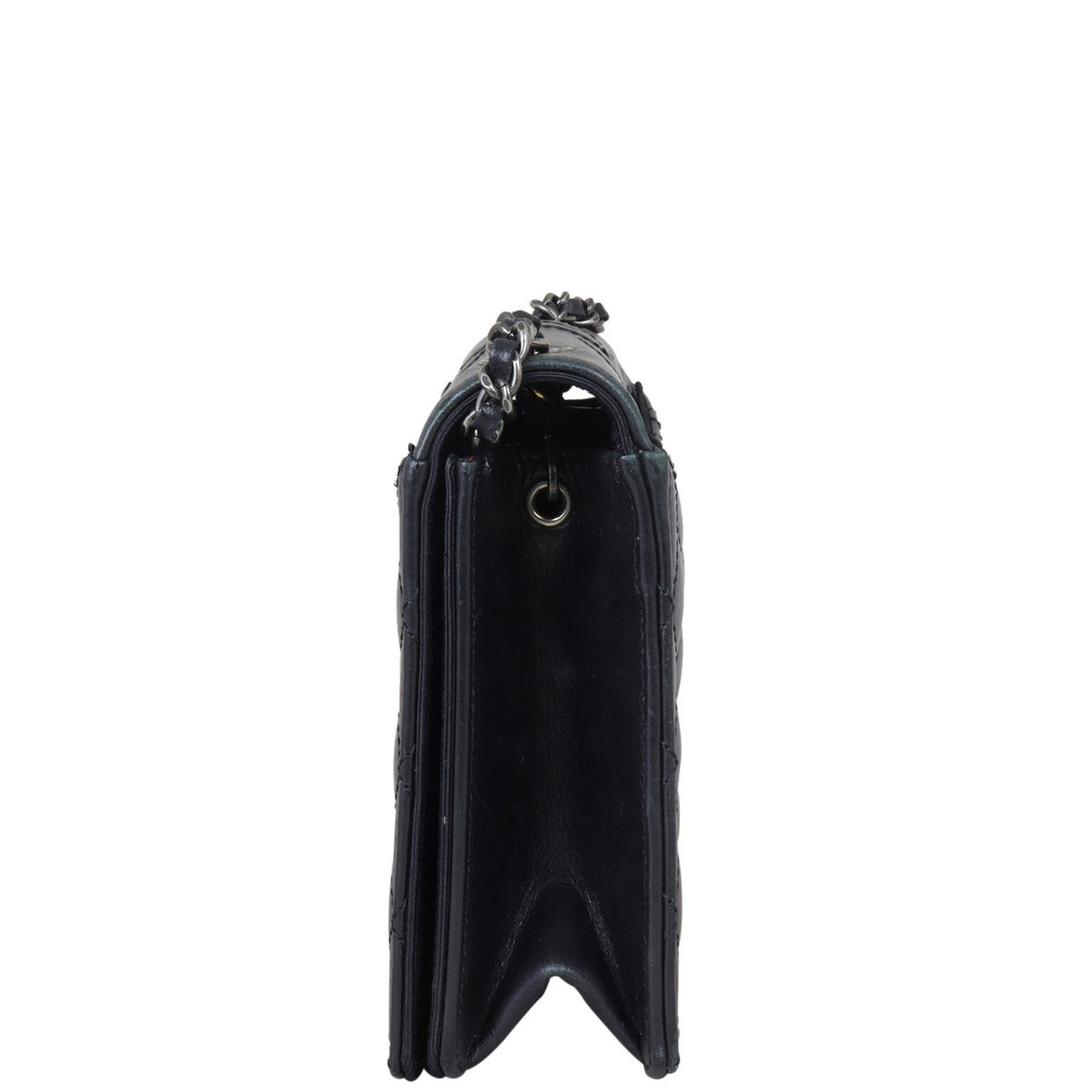 Chanel Ballerine Flap Bag