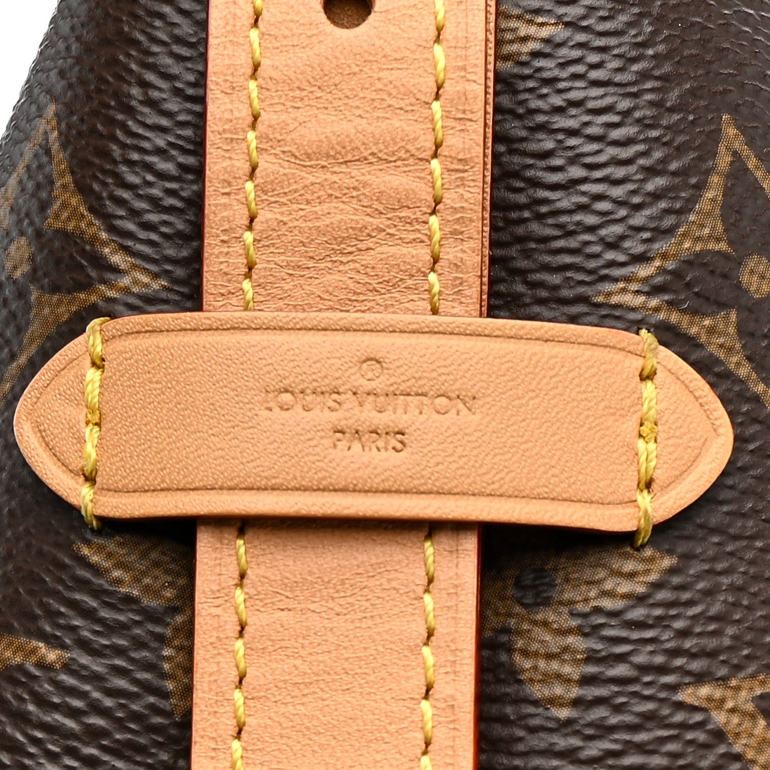 Monogram CarryAll PM