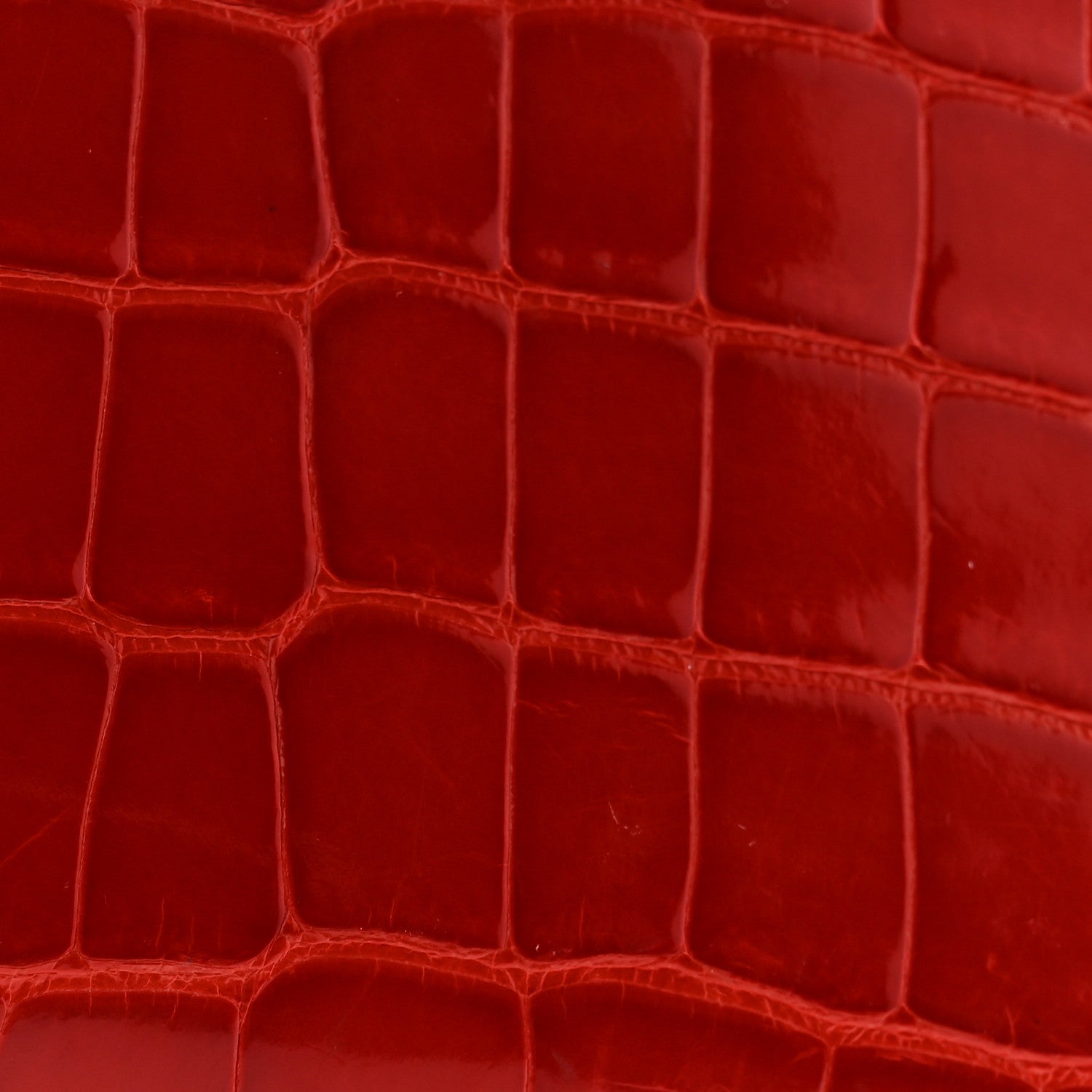 Shiny Alligator Azap Wallet Geranium