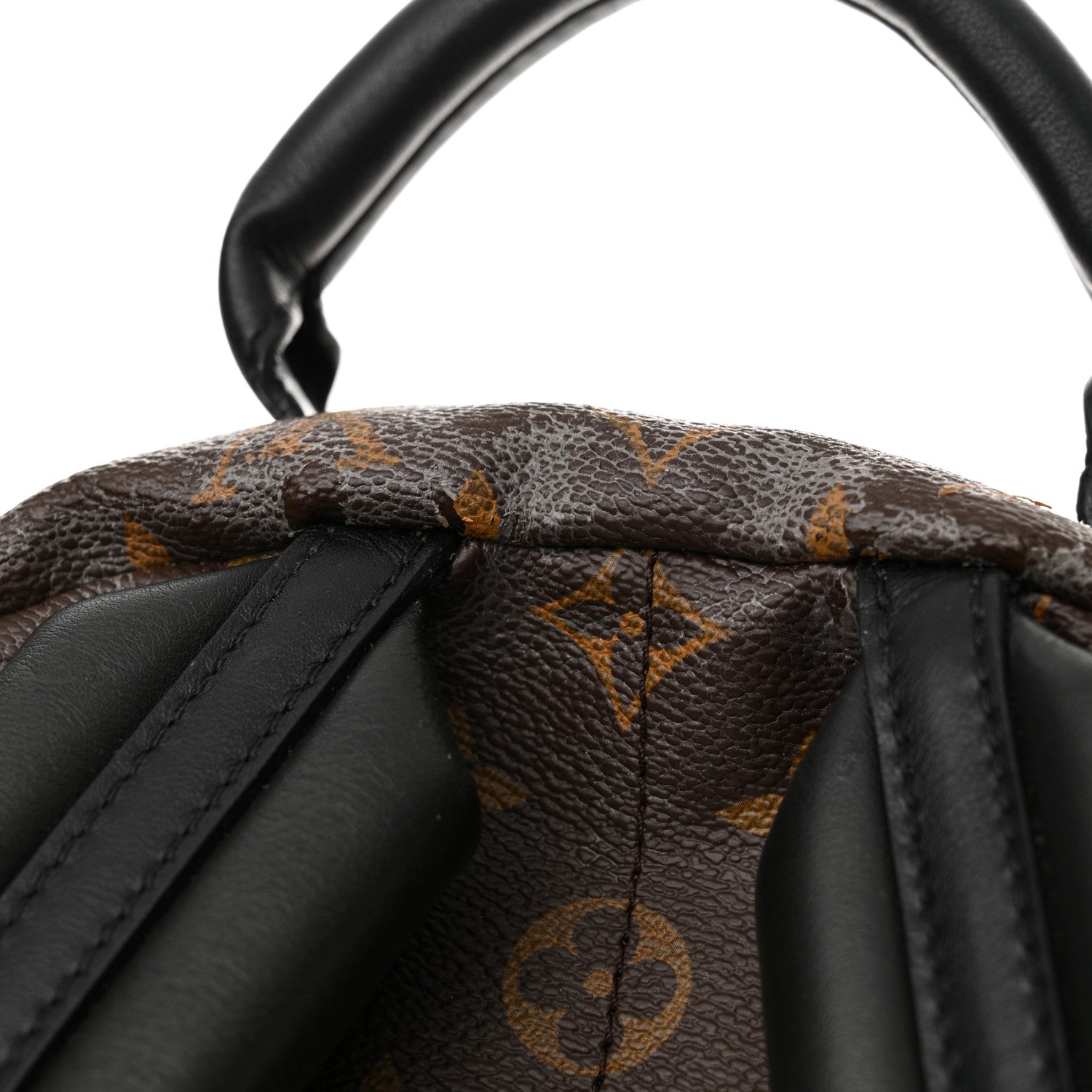 Monogram Palm Springs Backpack MM