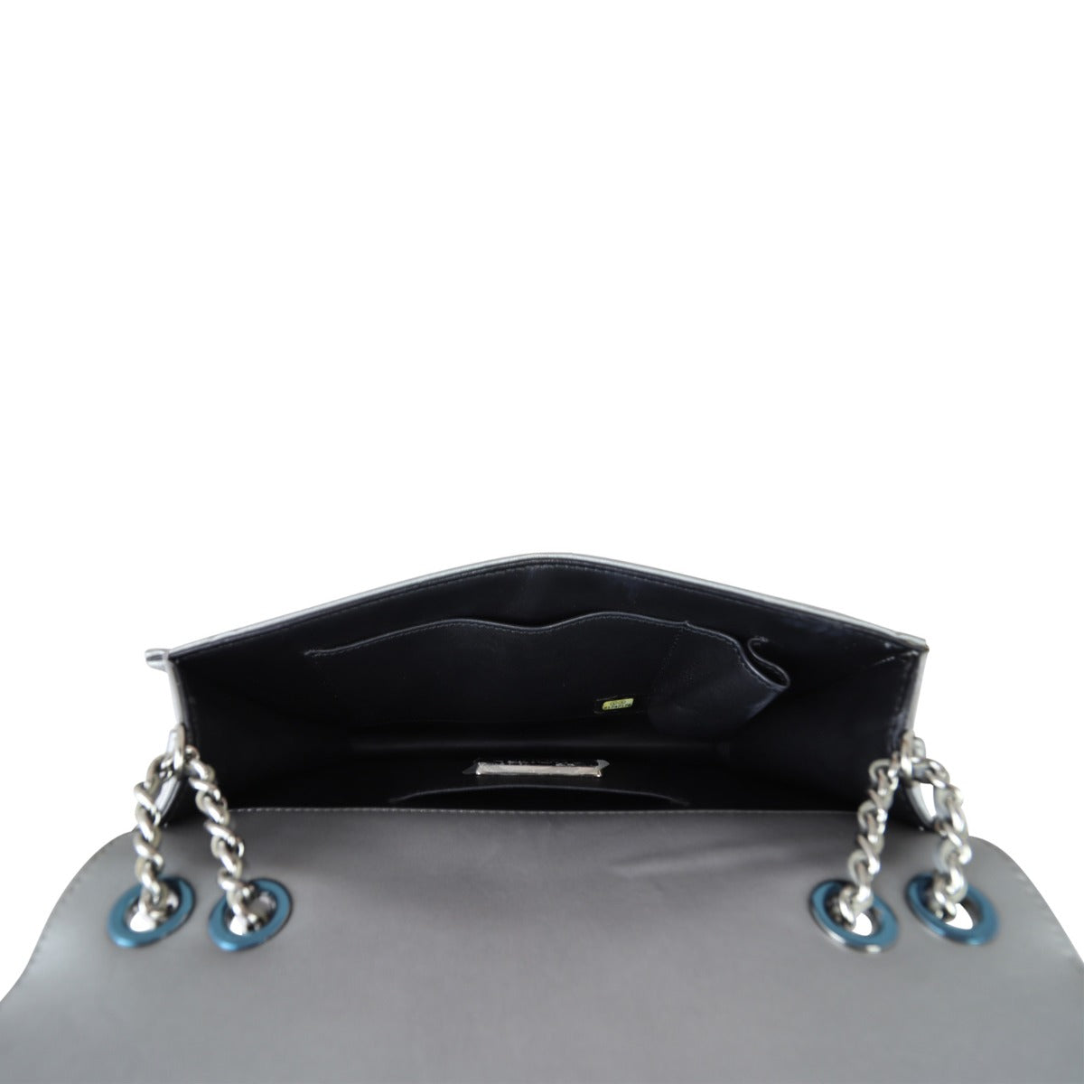 Chanel Python Clutch on Chain