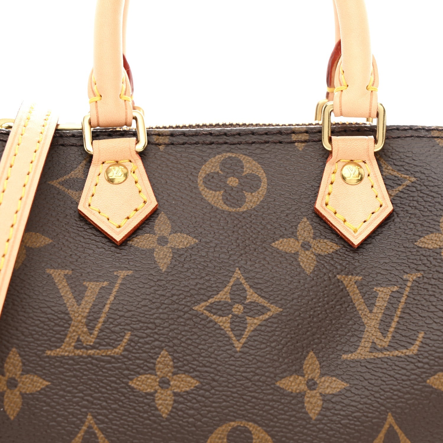 Monogram Nano Speedy