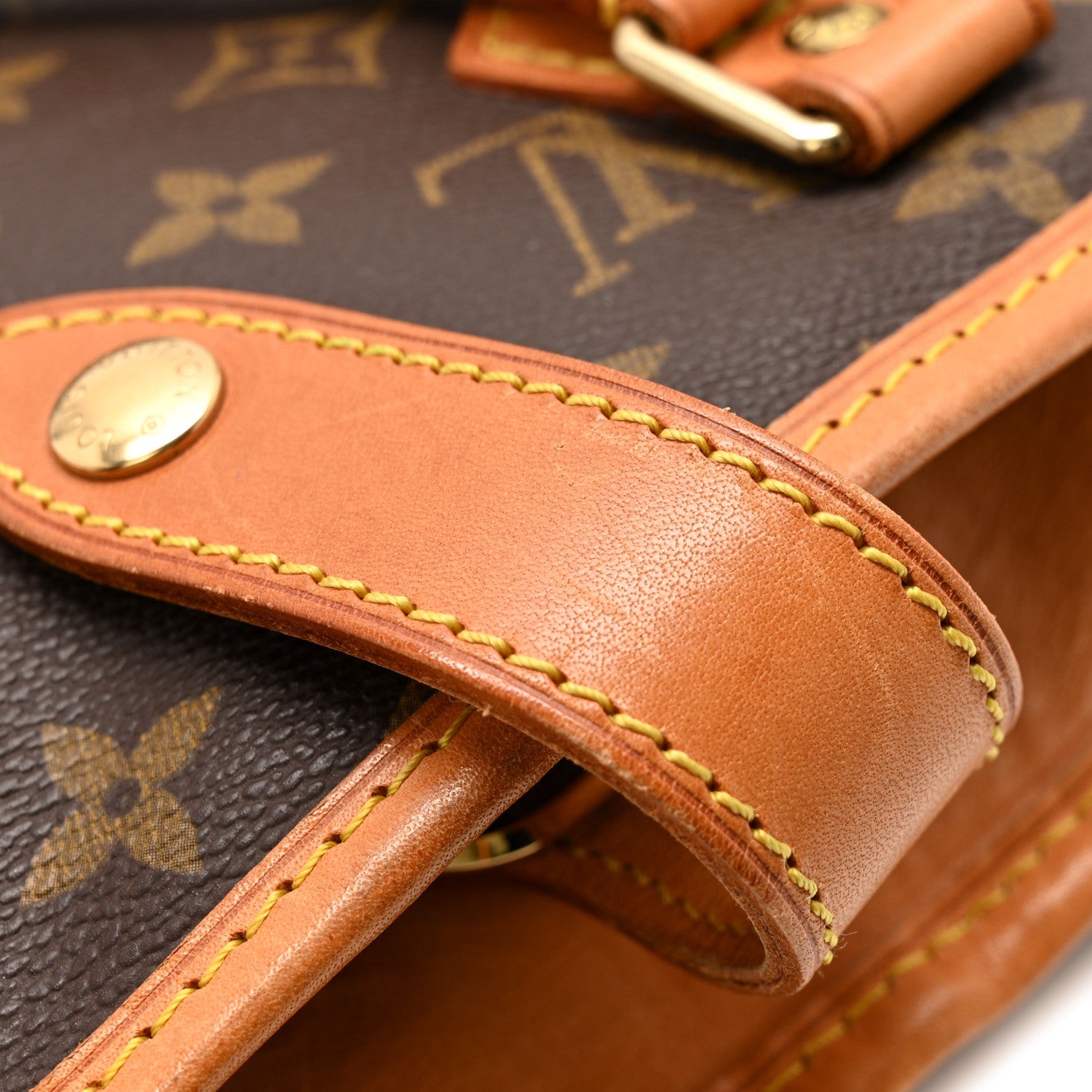 Monogram Garment Bag