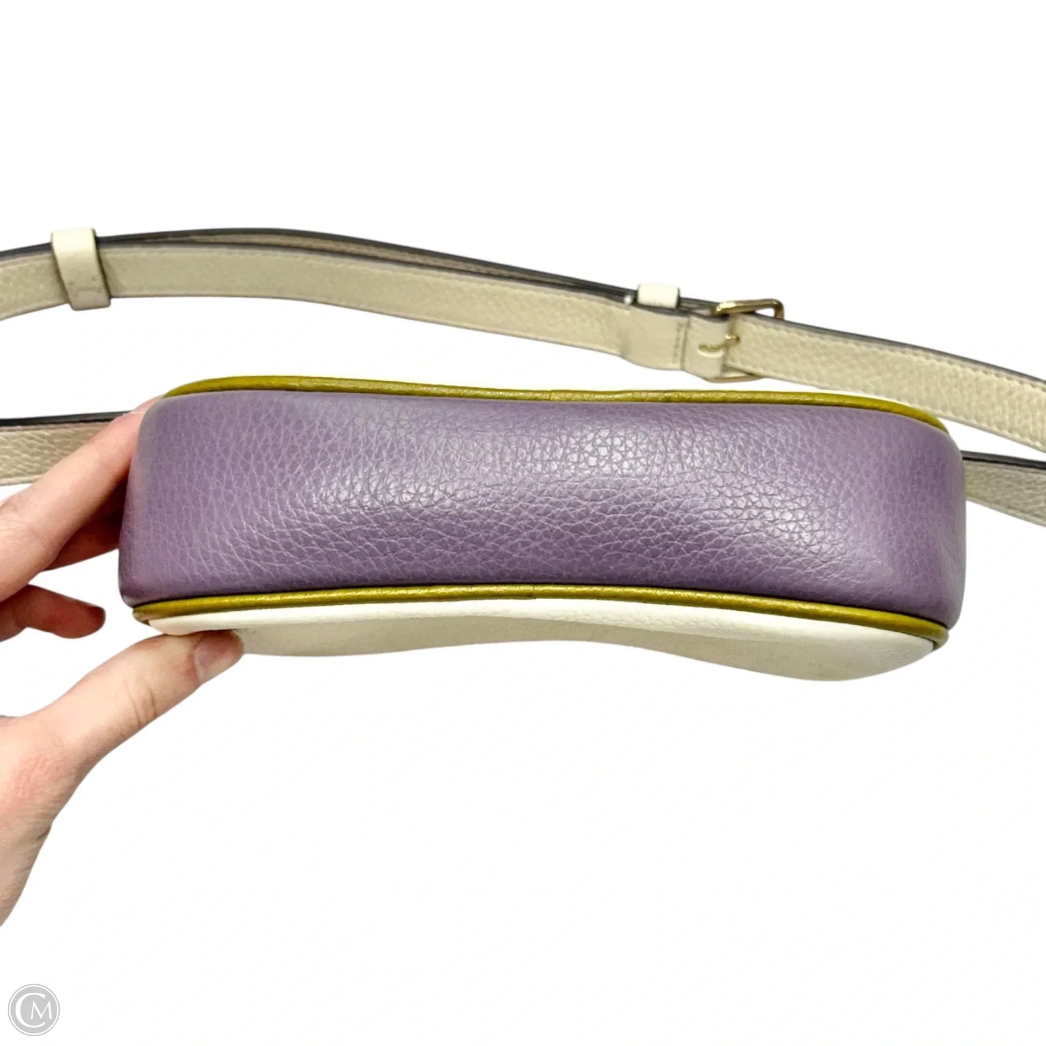 Belt Bag Designer By Coach, Size: Small