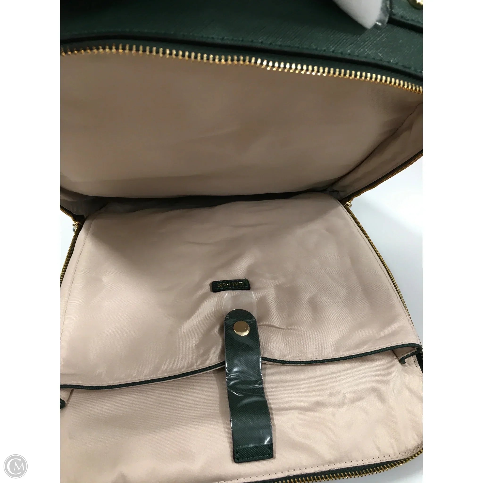 Backpack By Calpac, Size: Large