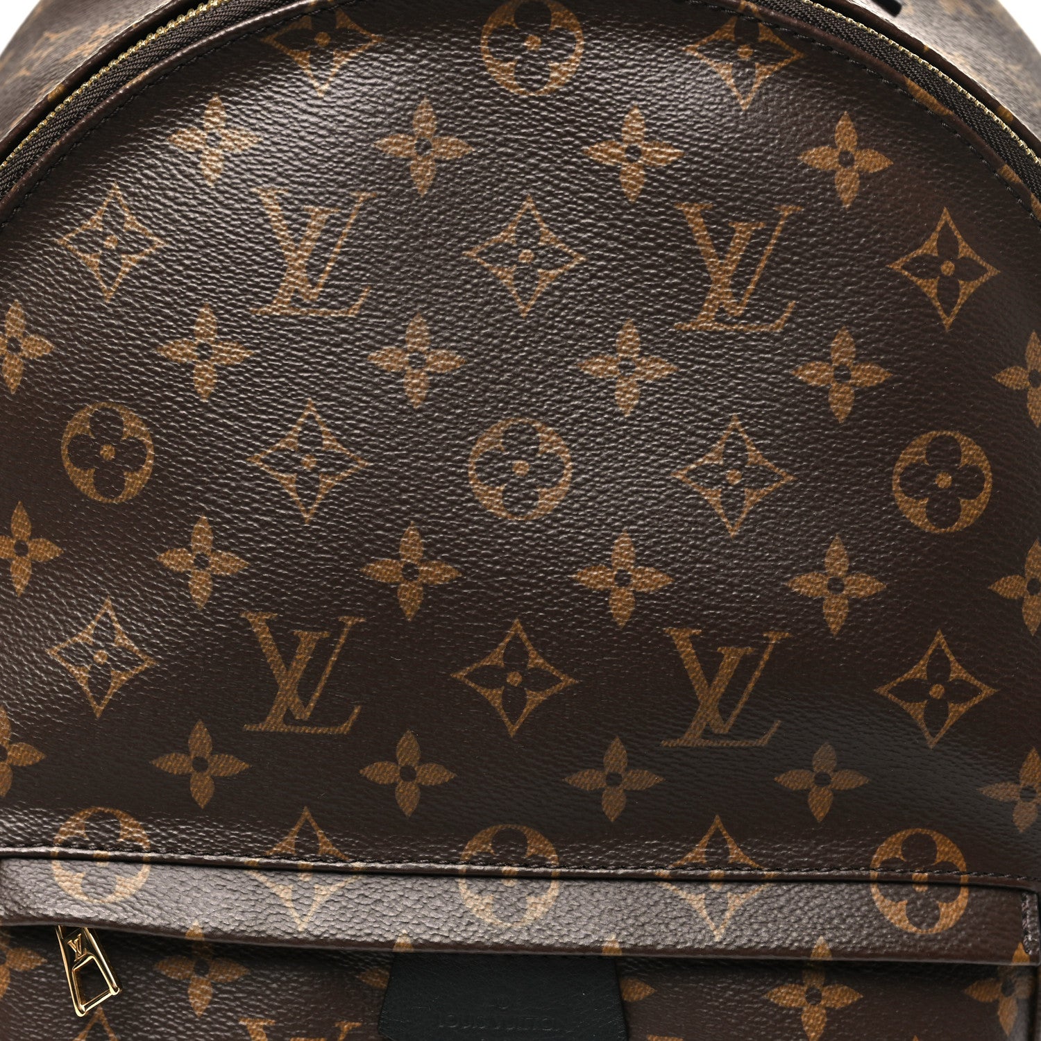 Monogram Palm Springs Backpack MM