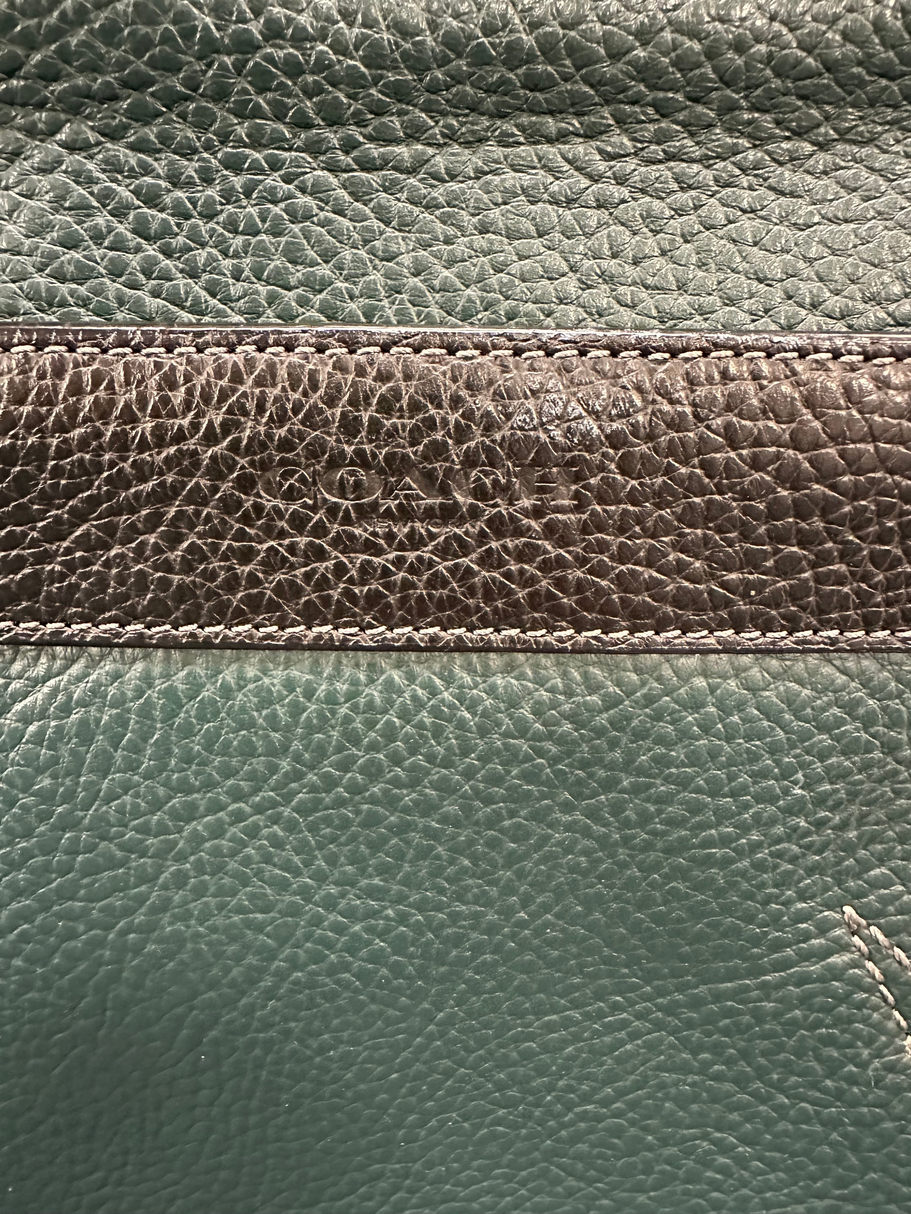 Handbag Designer By Coach In Black & Green, Size:Medium