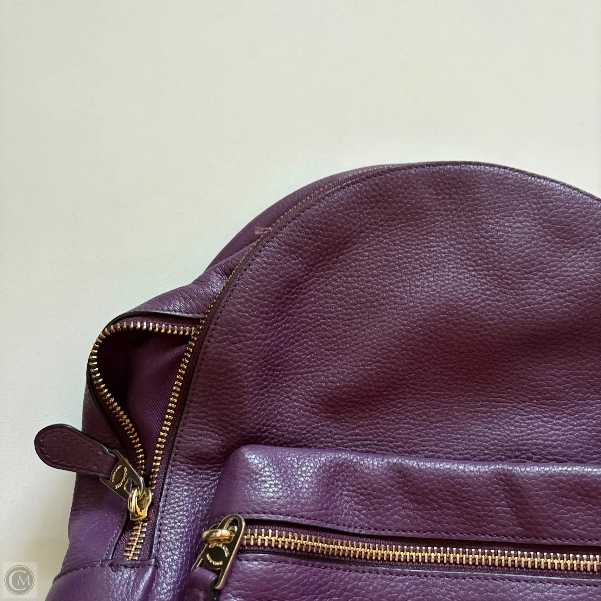 Backpack Designer By Coach, Size: Medium