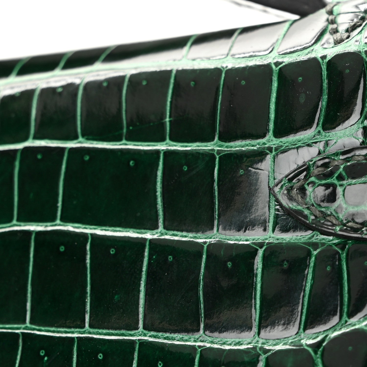 Shiny Porosus Crocodile Kelly Pochette Vert Cypress
