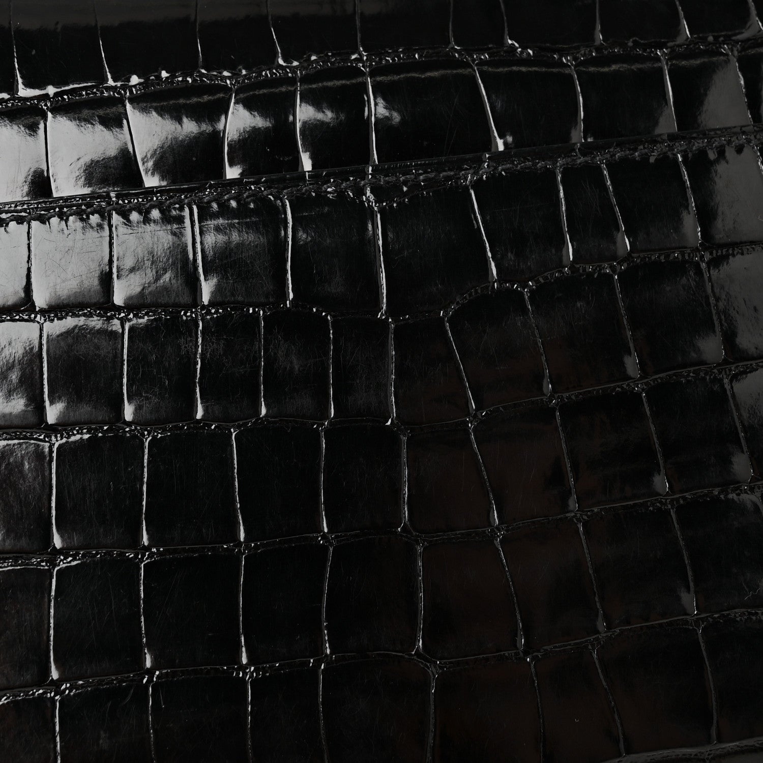 Shiny Alligator Monochrome Constance Long Wallet Black