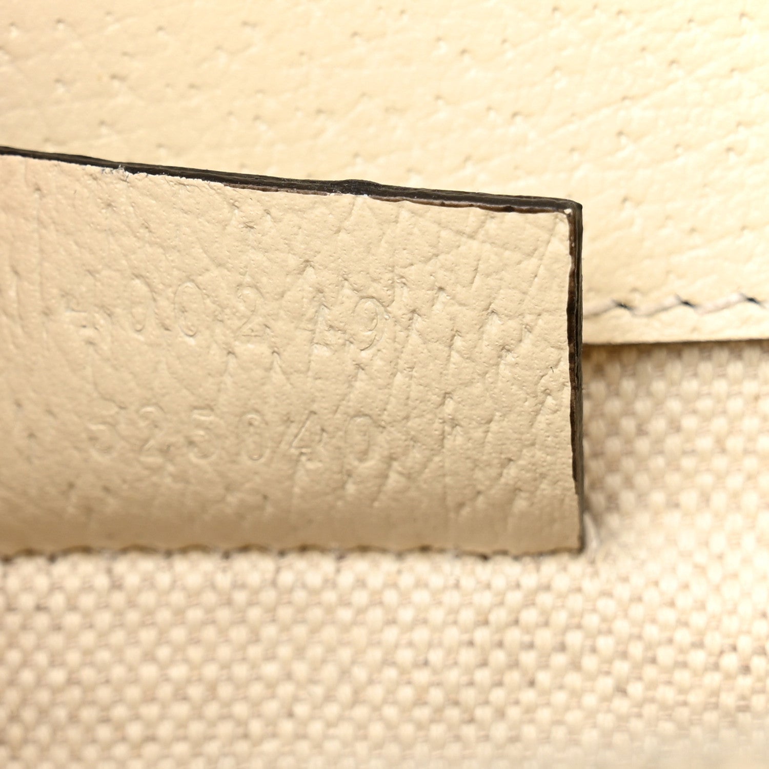Textured Calfskin Crystal Small Dionysus Shoulder Bag Mystic White