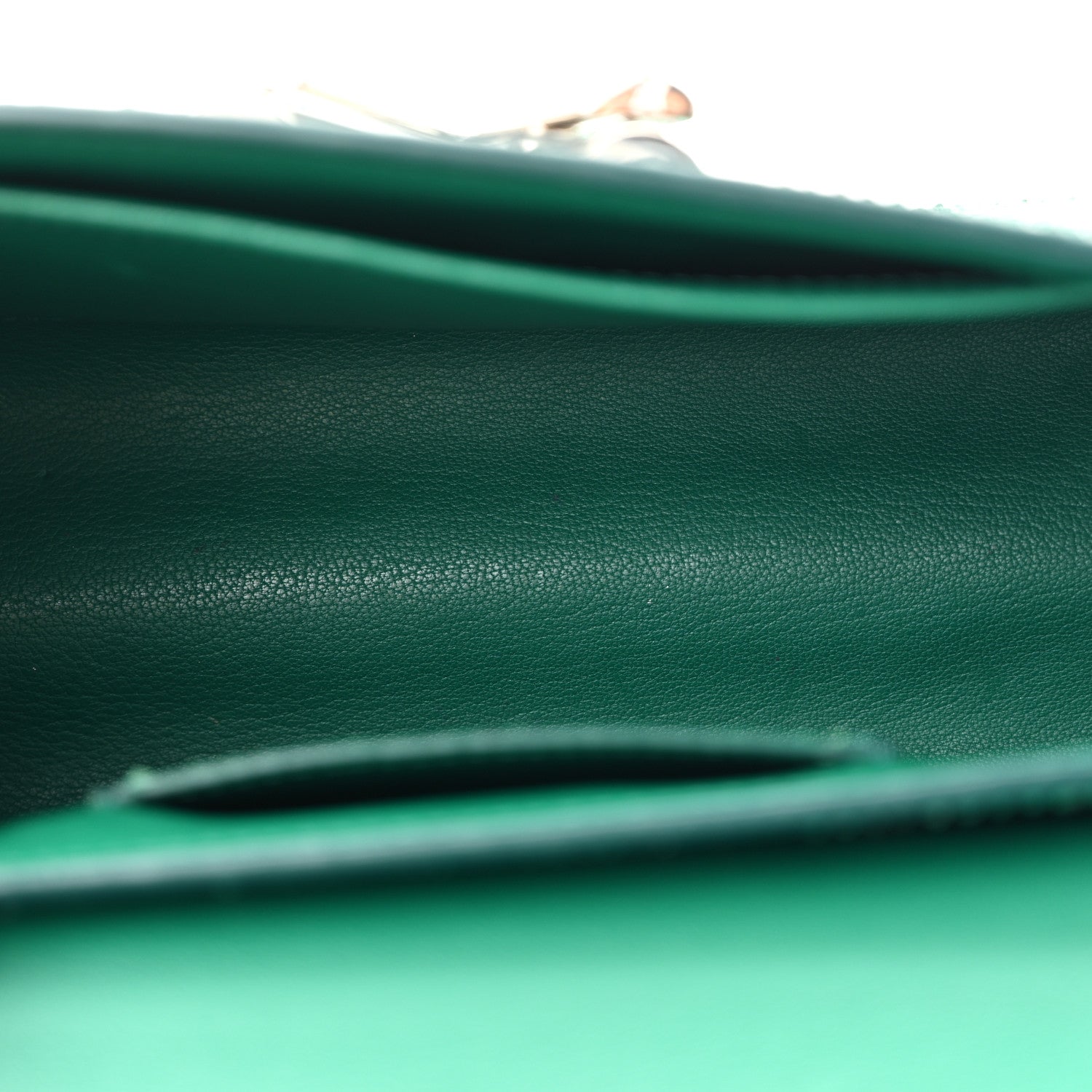 Snakeskin Twist Shoulder Bag MM Green