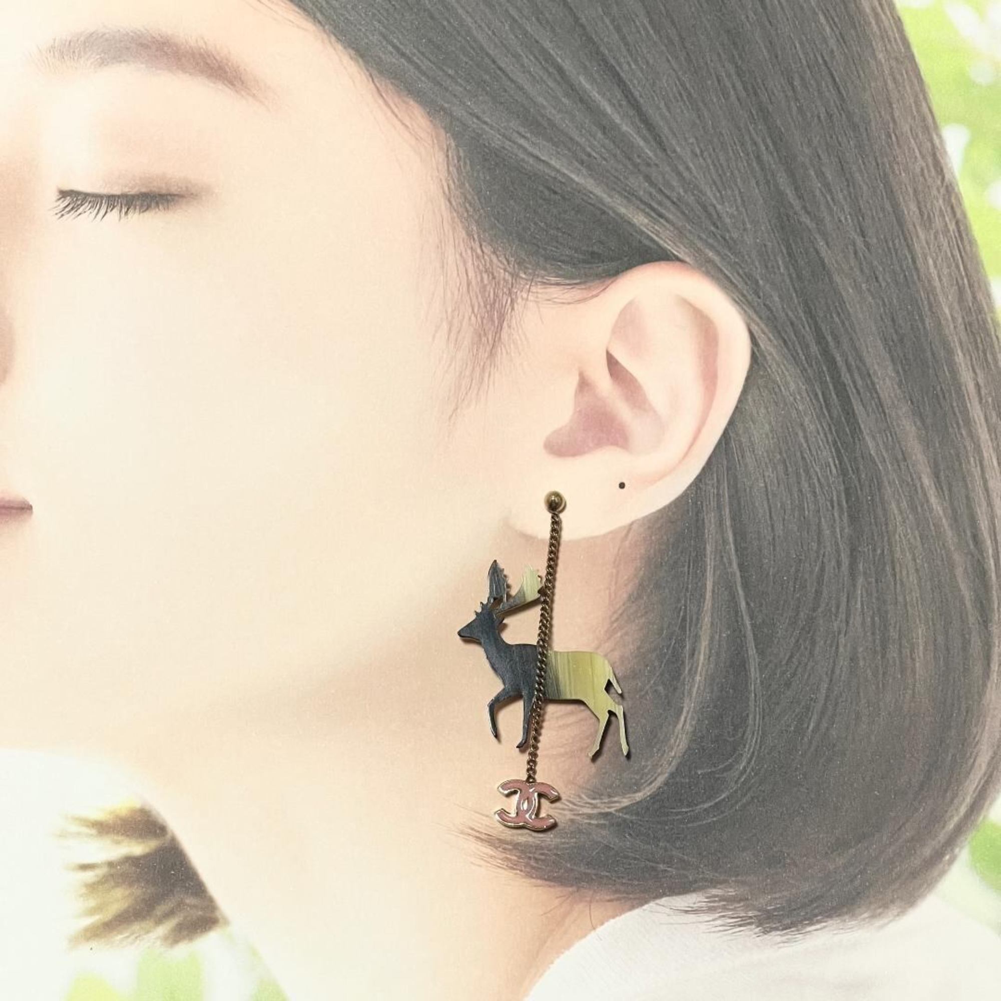 Earrings Metal