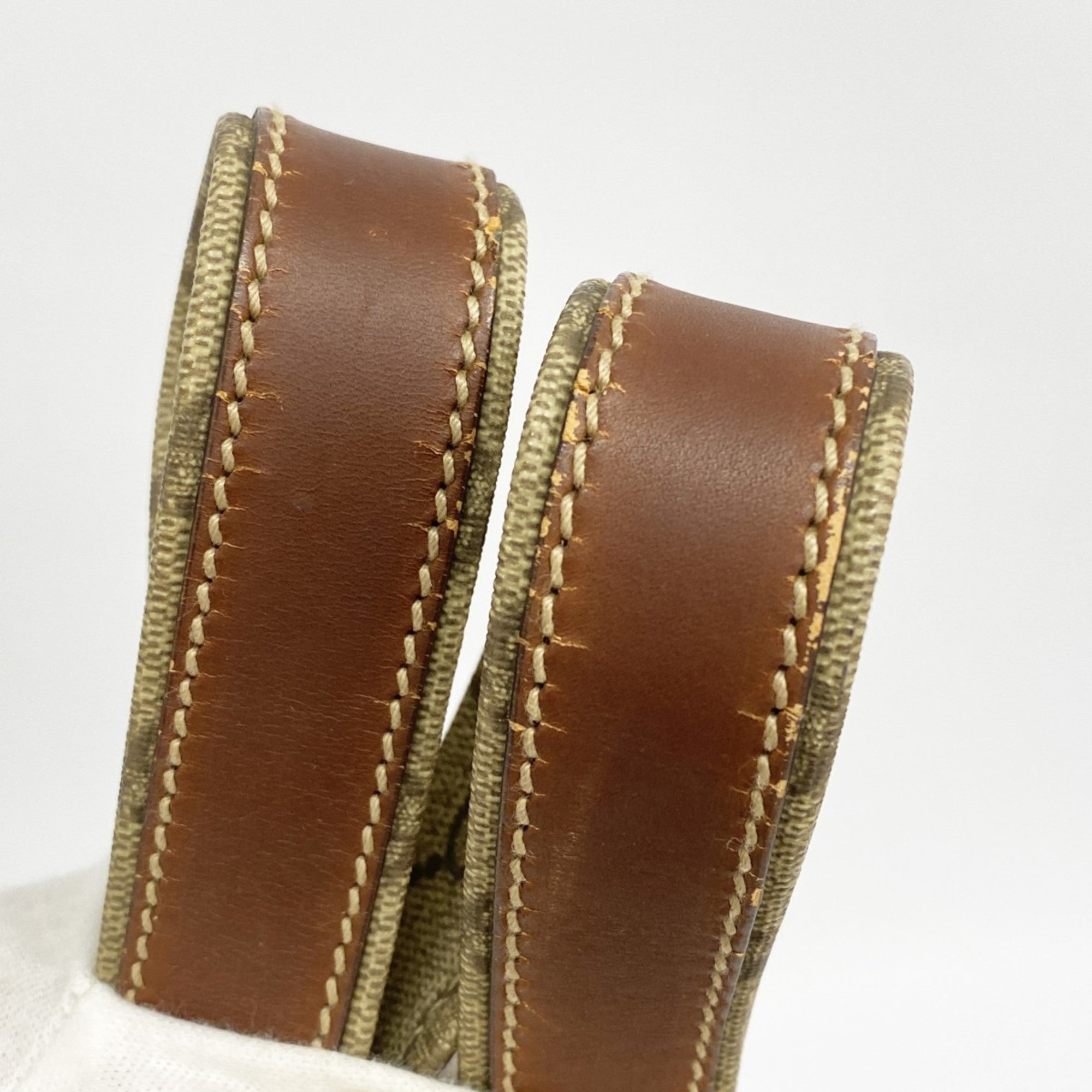 Web Loop Tote GG Coated Canvas Tall