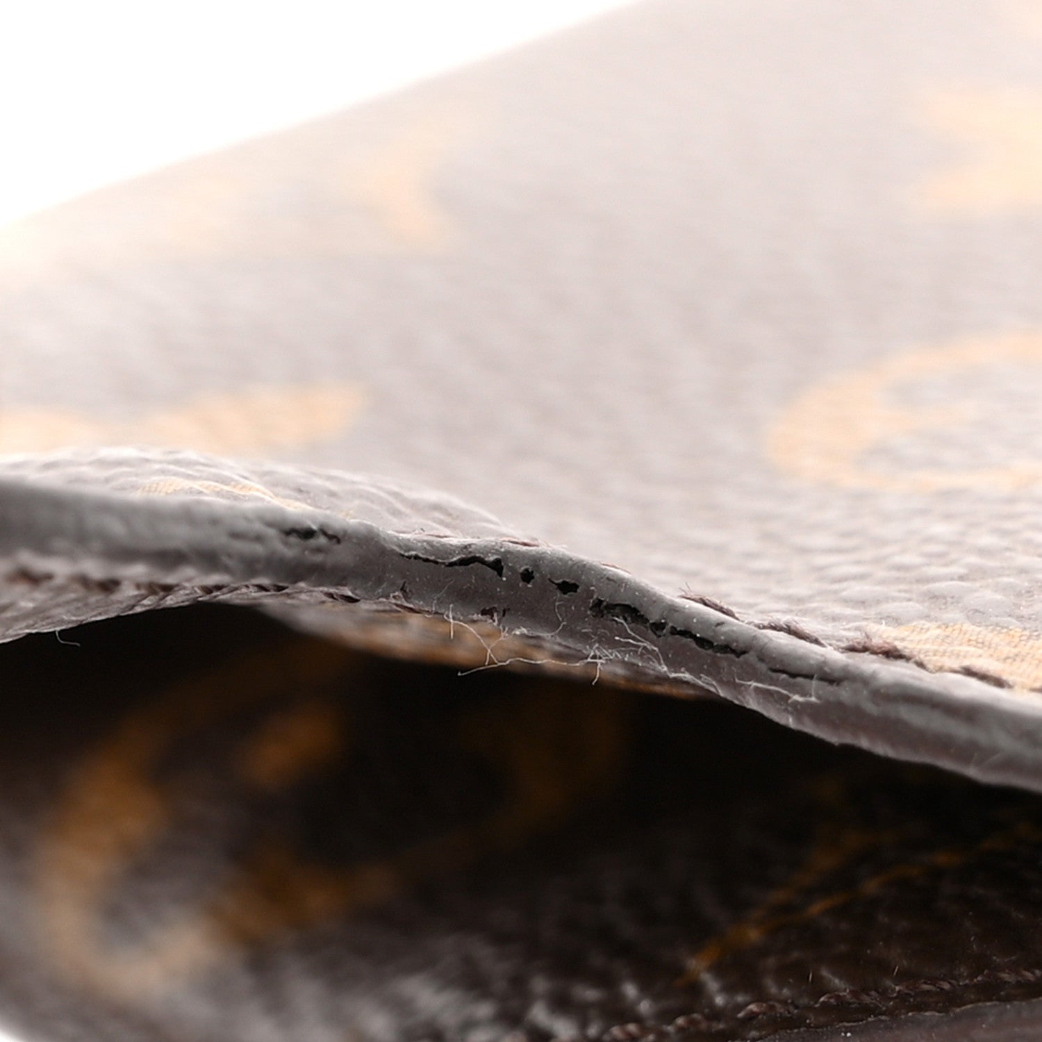 Monogram Sunglasses Case MM
