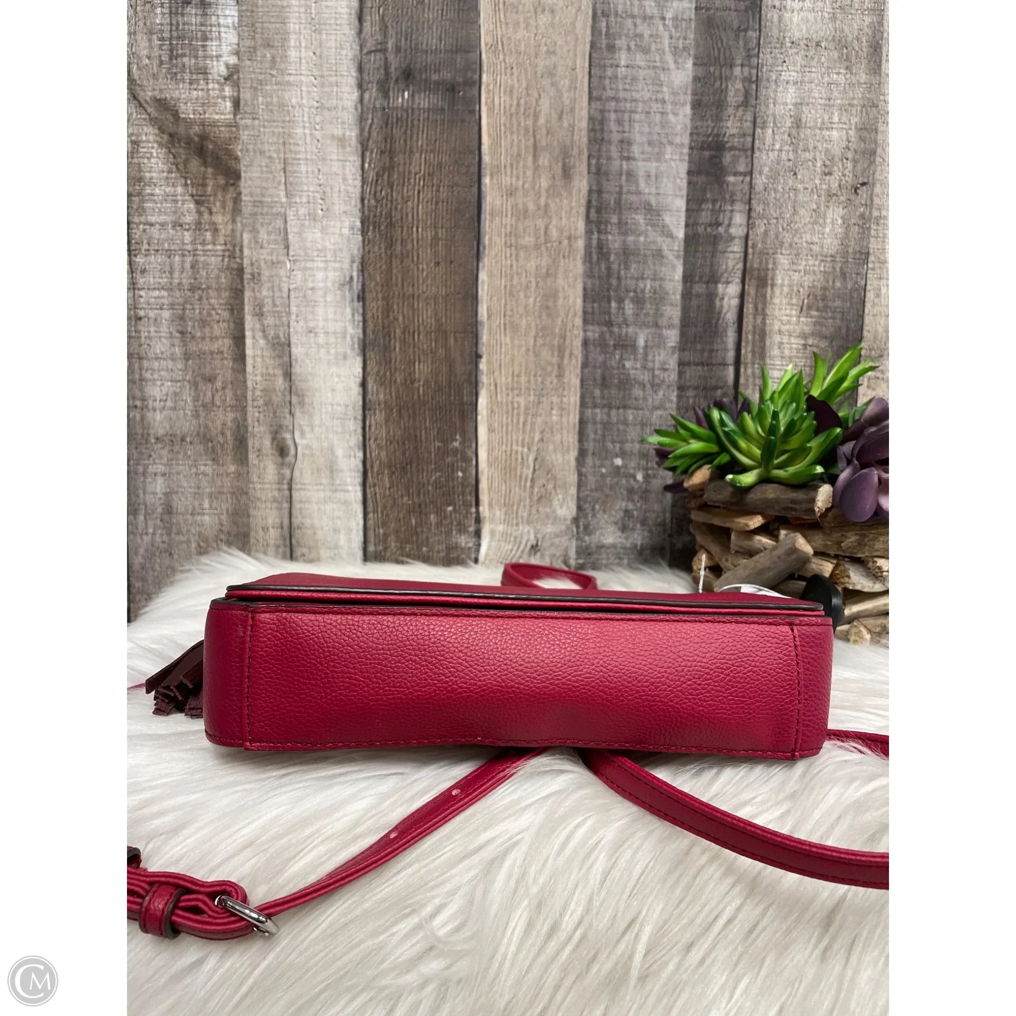 Crossbody Leather By Tignanello  Purses, Size: Small