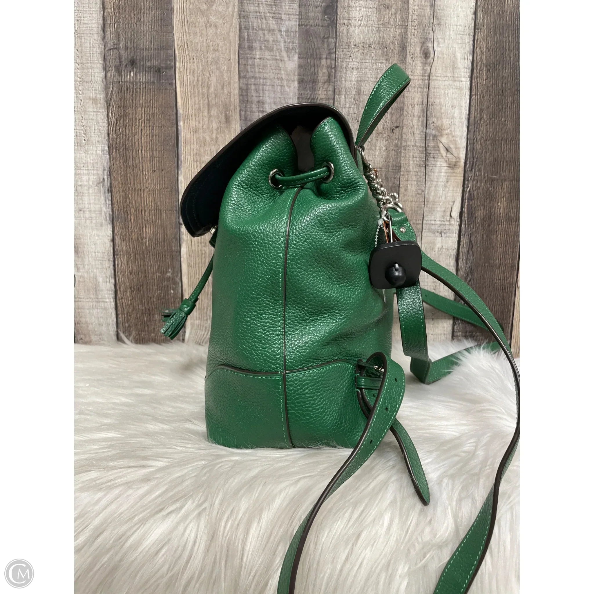 Backpack Designer By Coach, Size: Medium