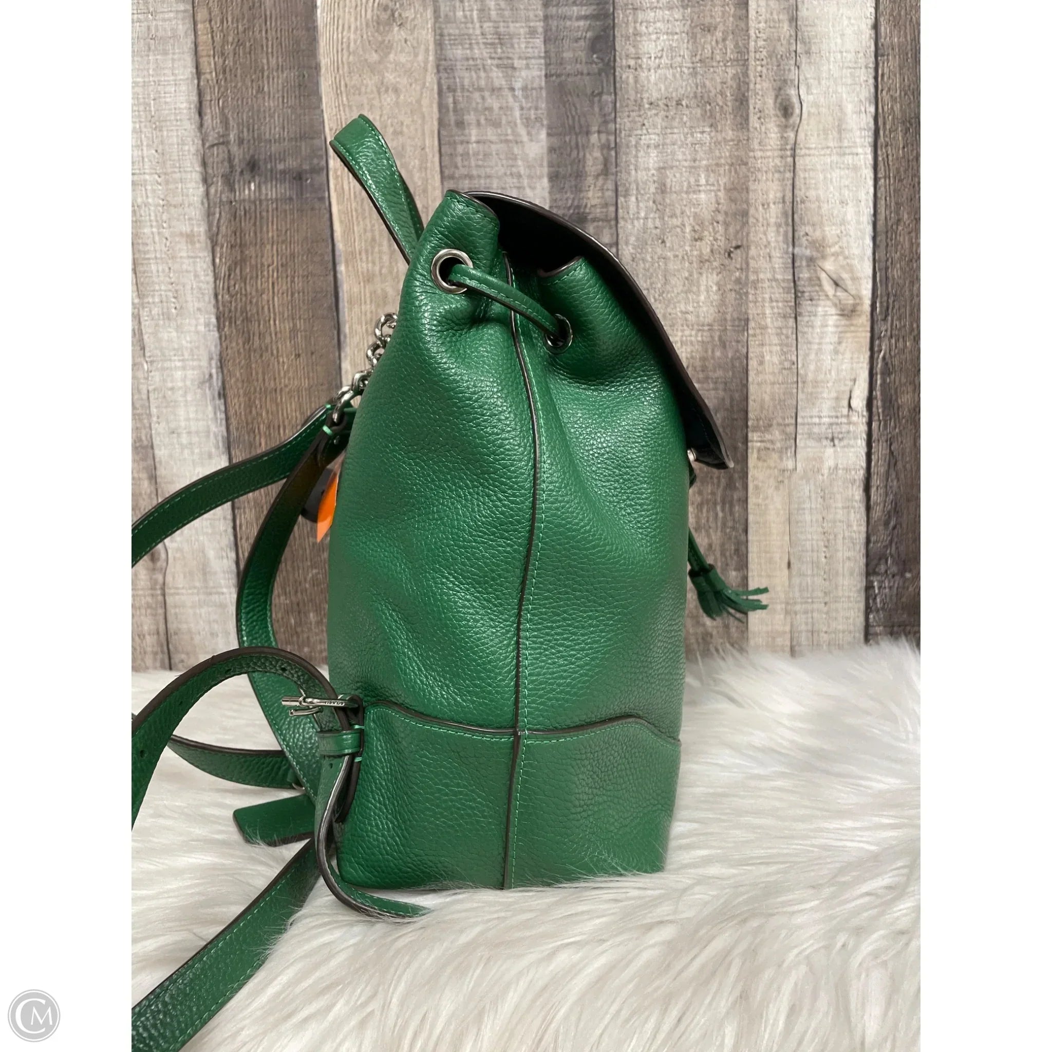 Backpack Designer By Coach, Size: Medium