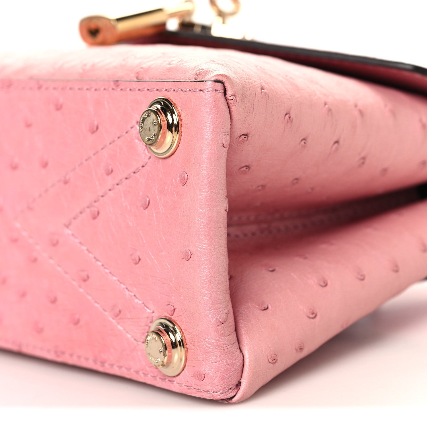 Ostrich Rose Des Vents Mini Pink