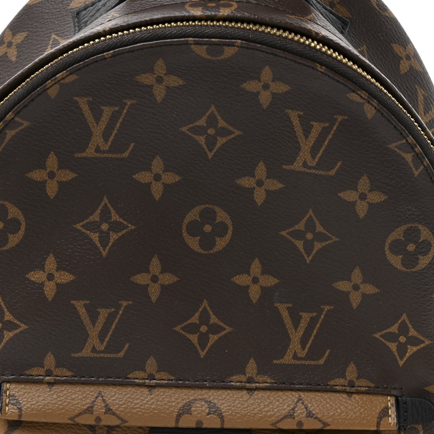 Reverse Monogram Palm Springs Backpack PM