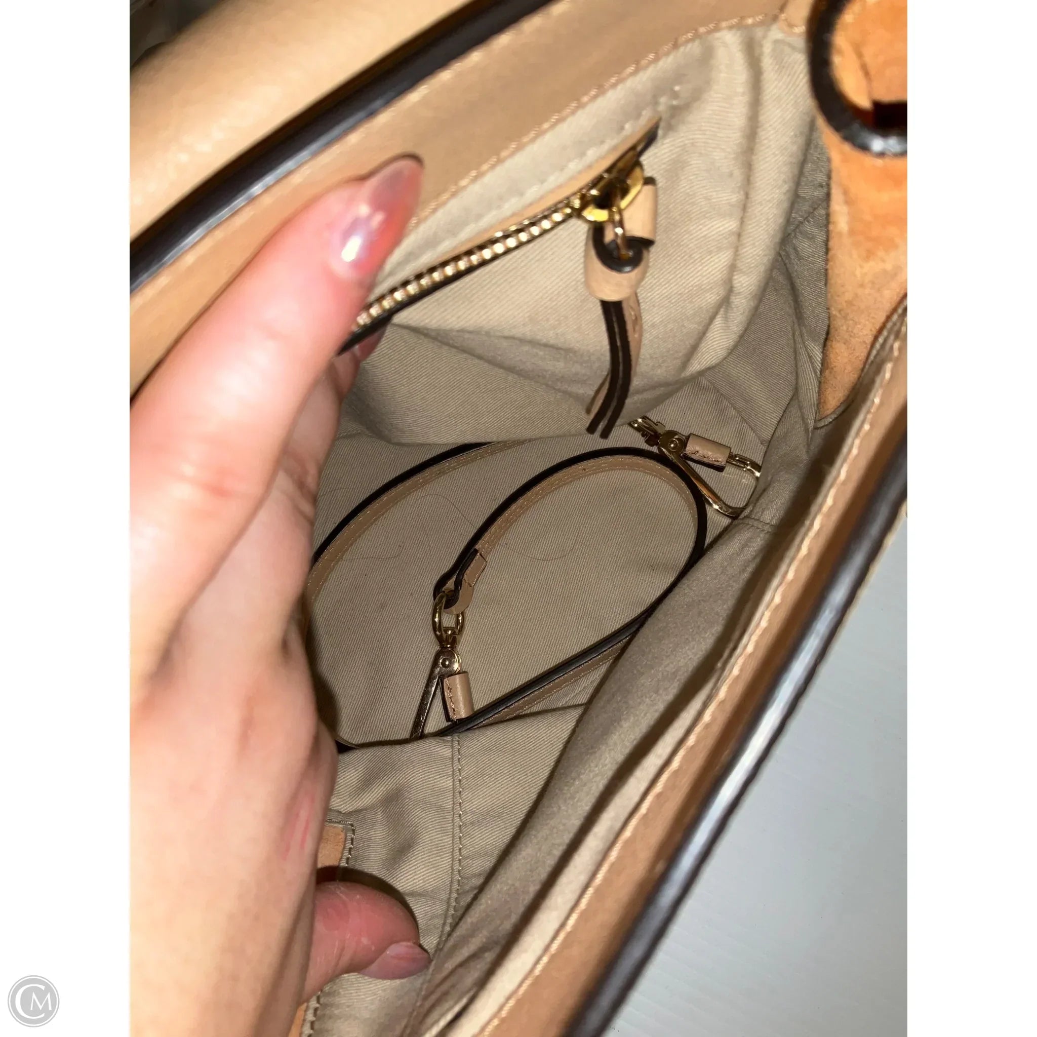 Backpack Luxury Designer By Chloe, Size: Small