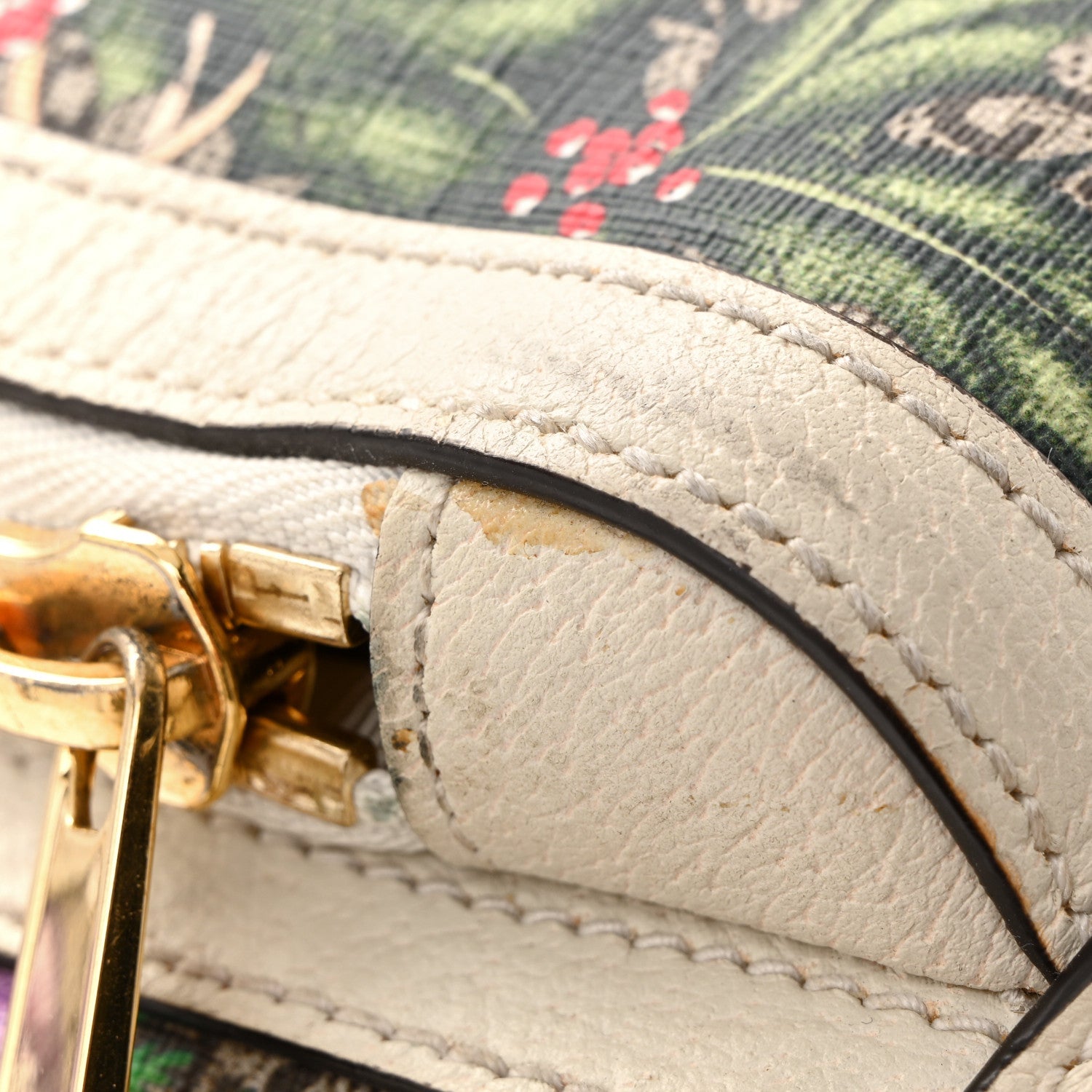 GG Supreme Monogram Flora Web Small Ophidia Day Backpack White