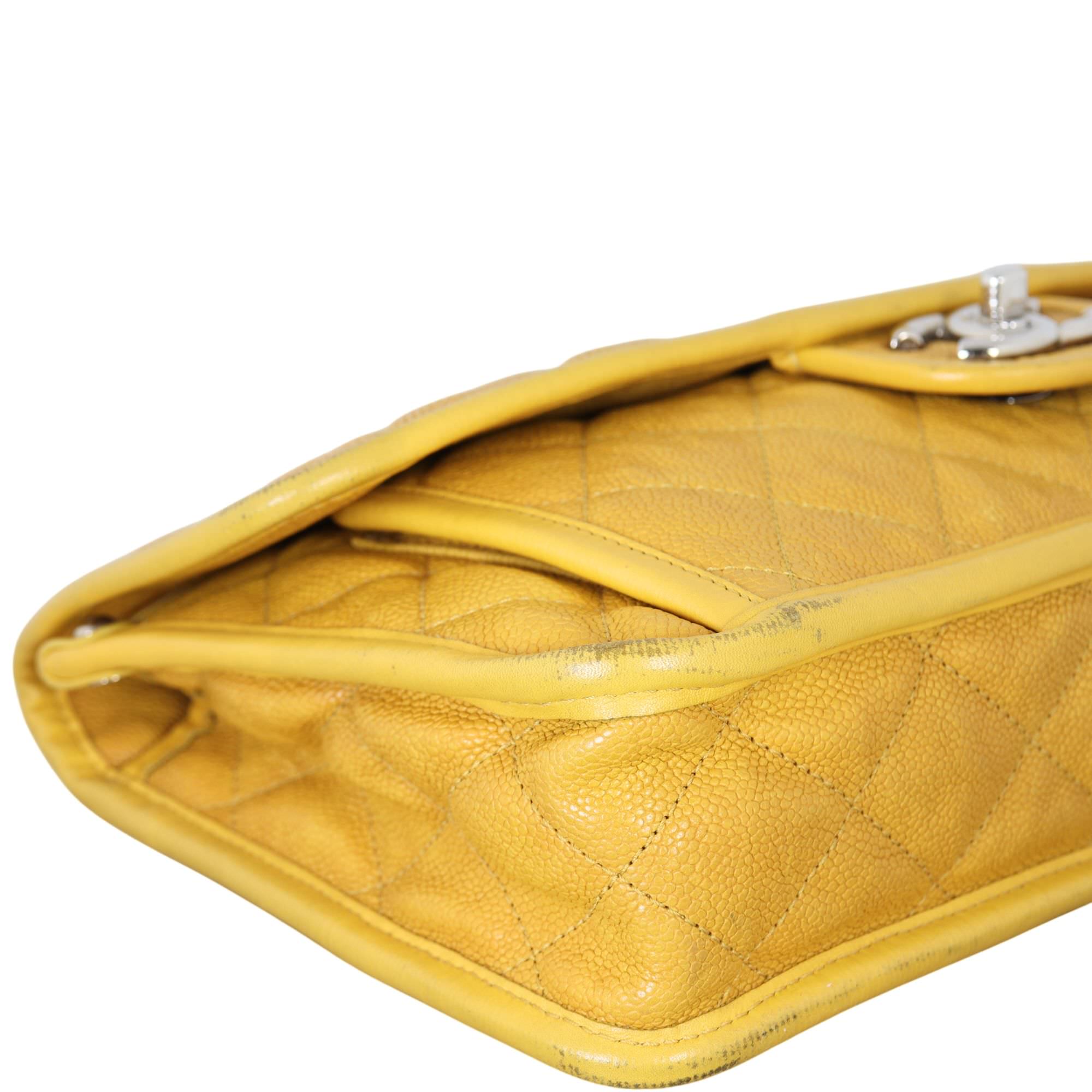 Chanel French Riviera Flap Bag