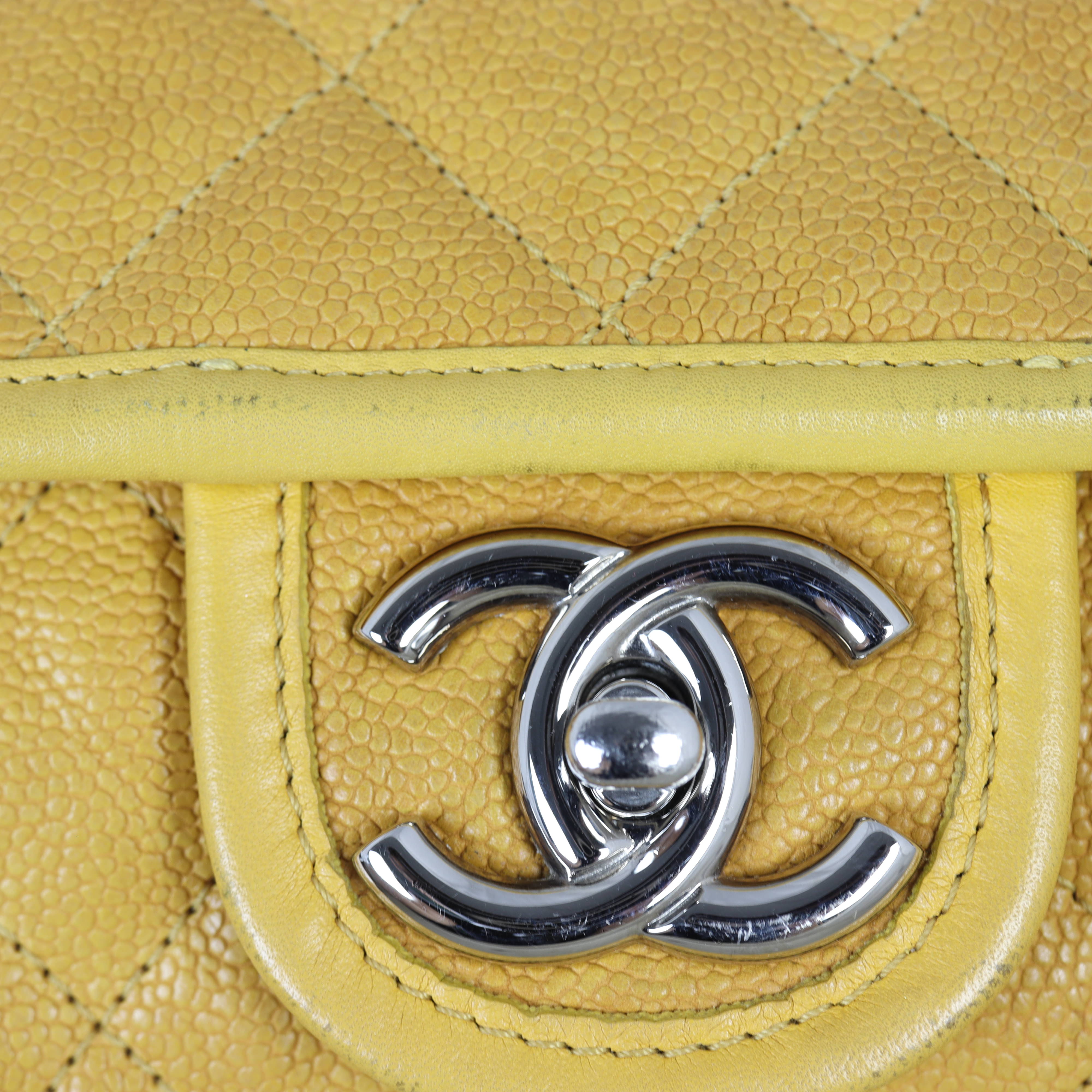 Chanel French Riviera Flap Bag