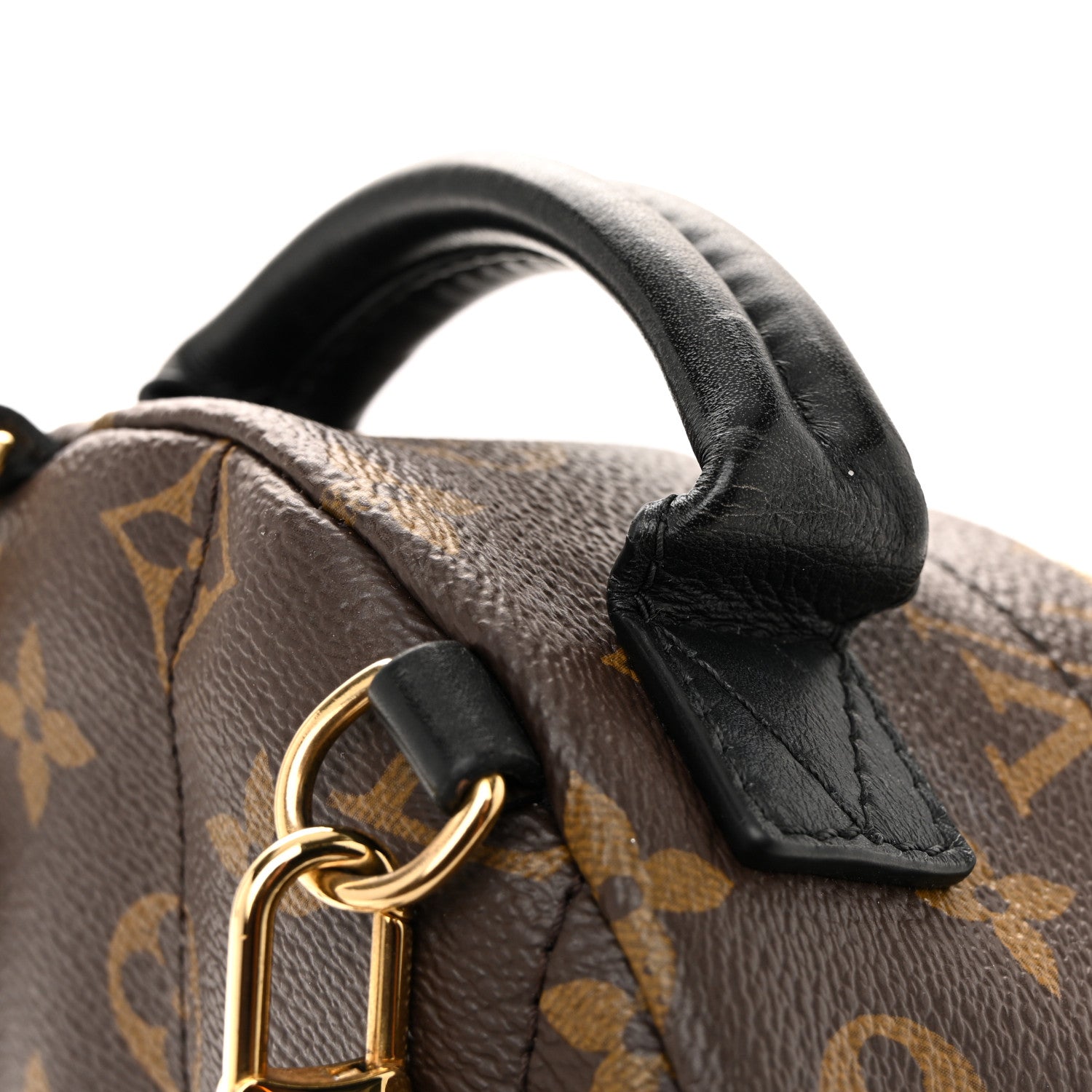 Monogram Palm Springs Backpack Mini