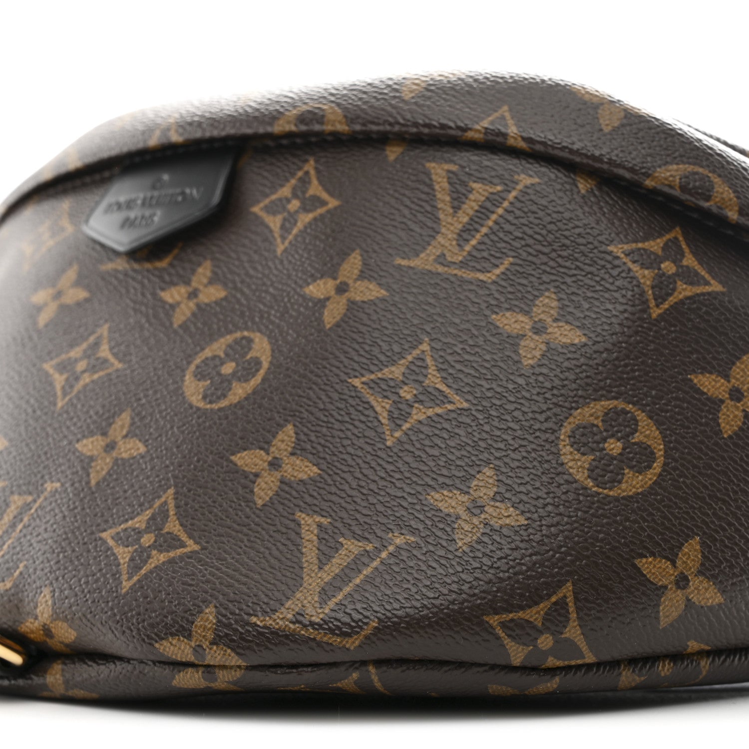 Monogram My LV World Tour Bumbag