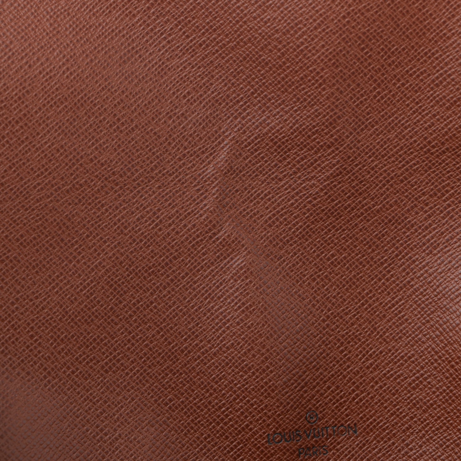 Monogram Musette Tango Long Strap