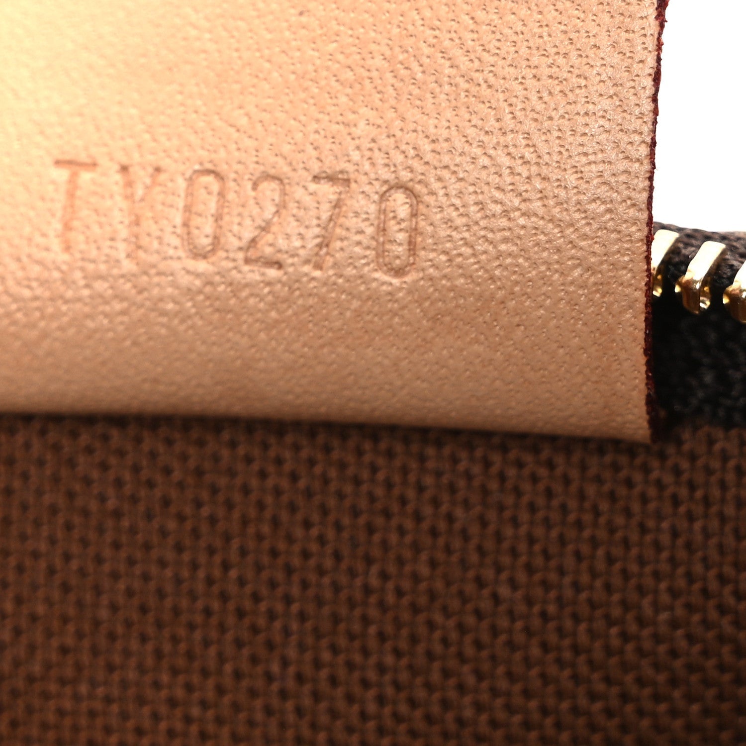 Monogram Nano Speedy