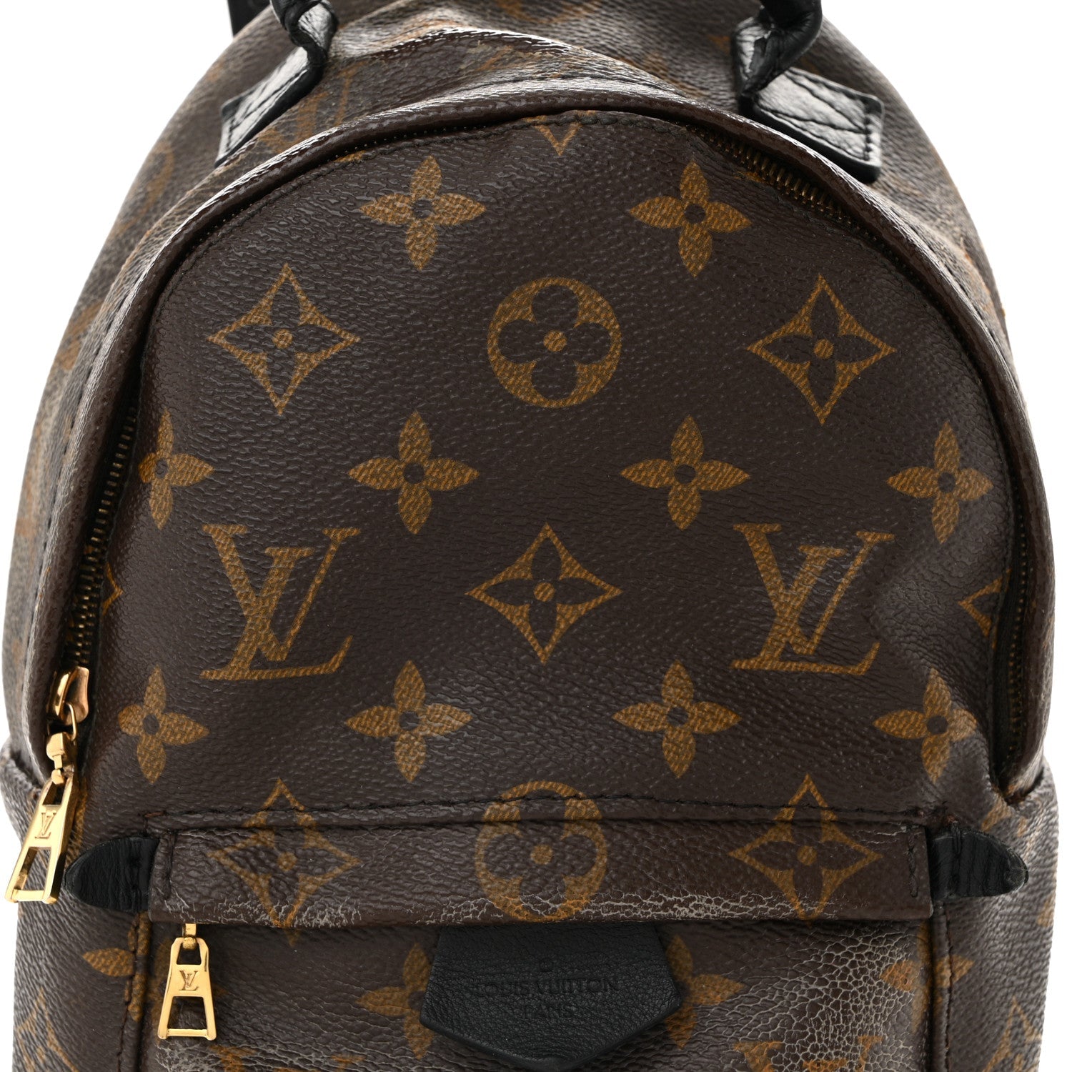 Monogram Palm Springs Backpack Mini