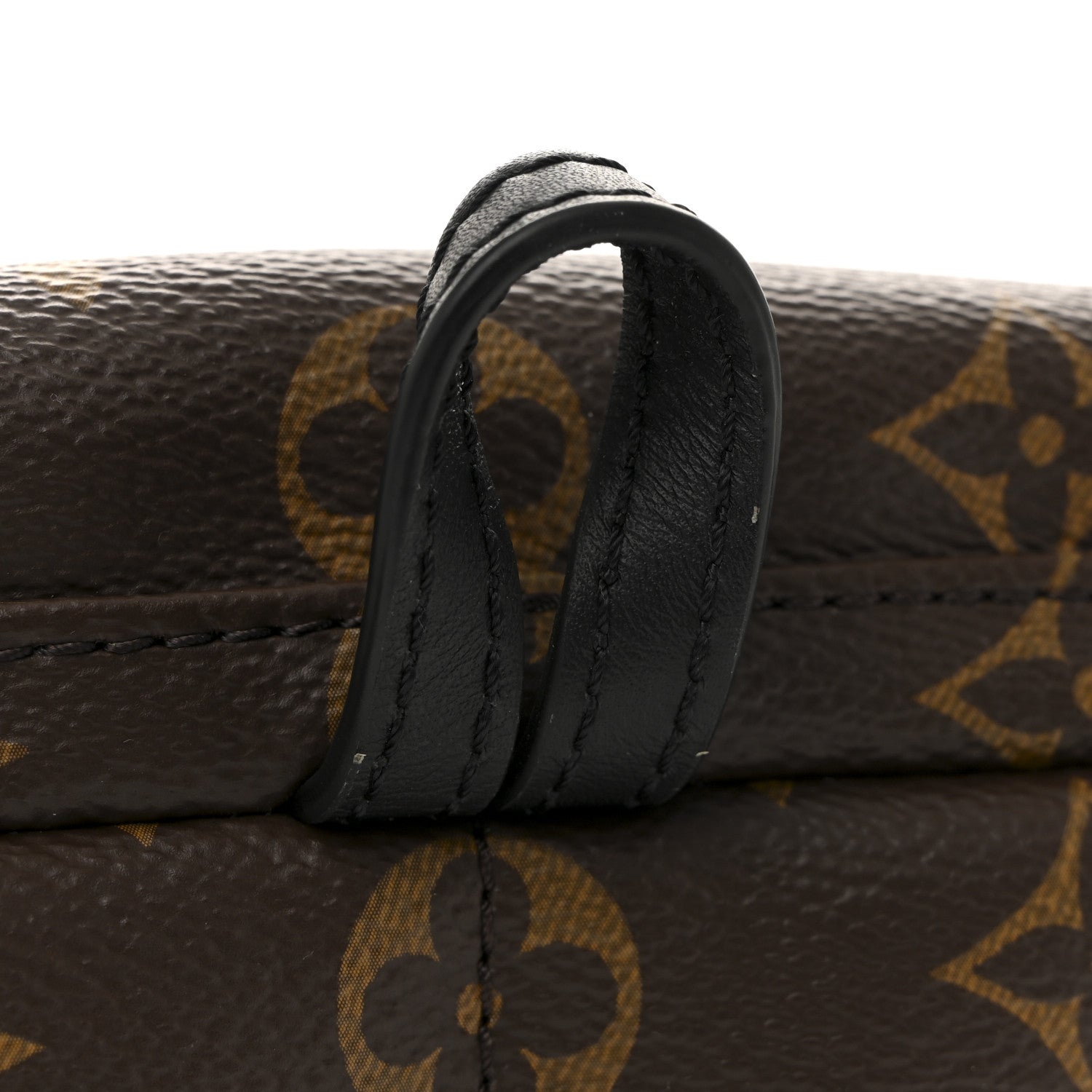 Monogram Palm Springs Backpack Mini
